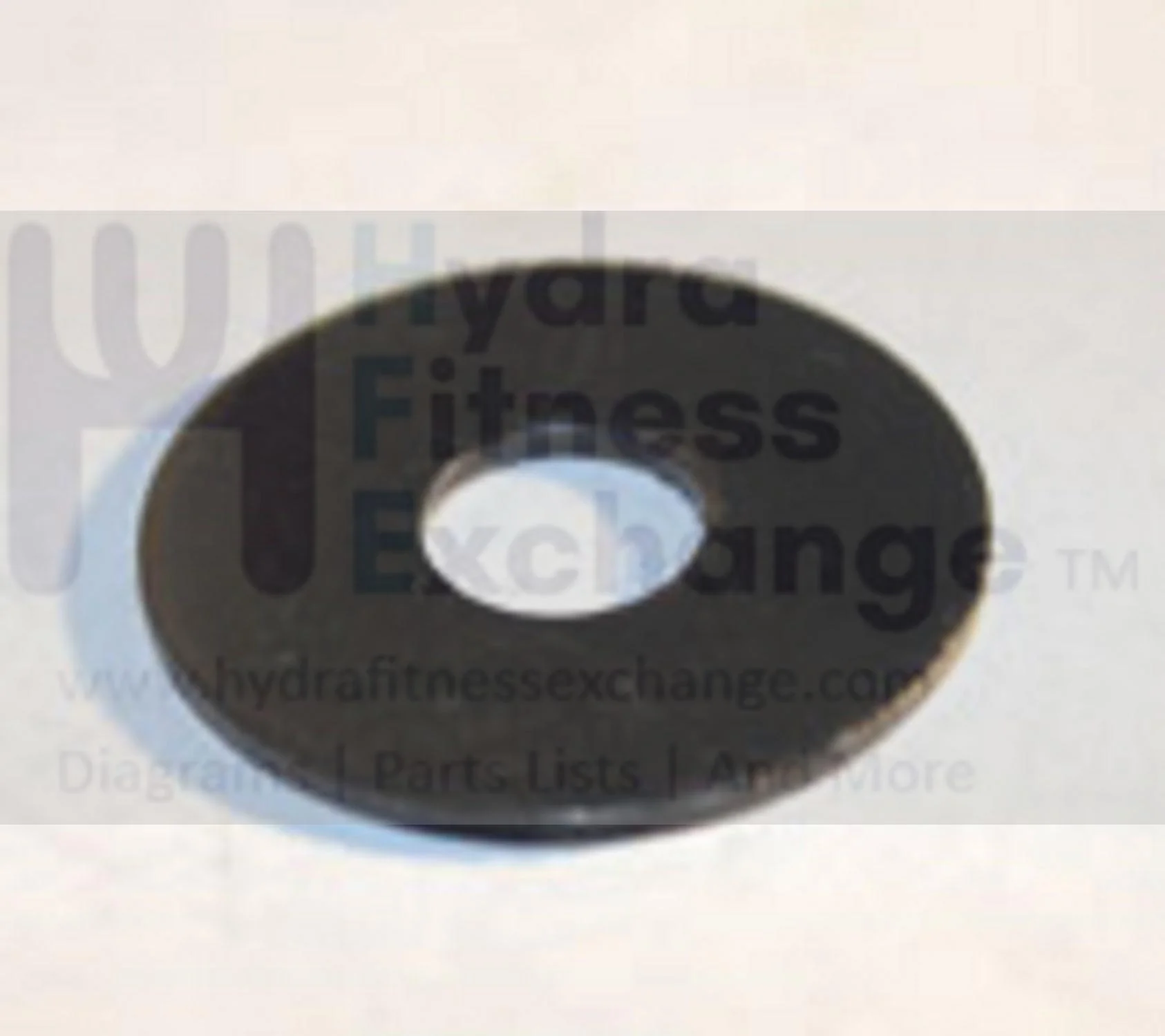 Horizon Matrix Fitness Elliptical Flat Washer 8.2x22.0x1.5T 037985-00 - Image 2