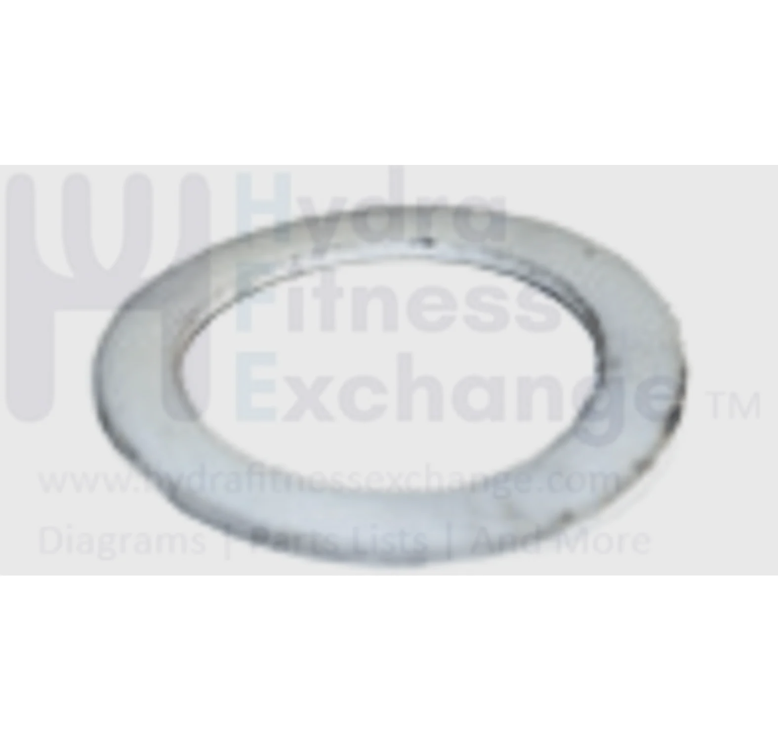 Horizon Matrix Fitness Elliptical Teflon Washer 25.5x38.0x1.0T 005195-00