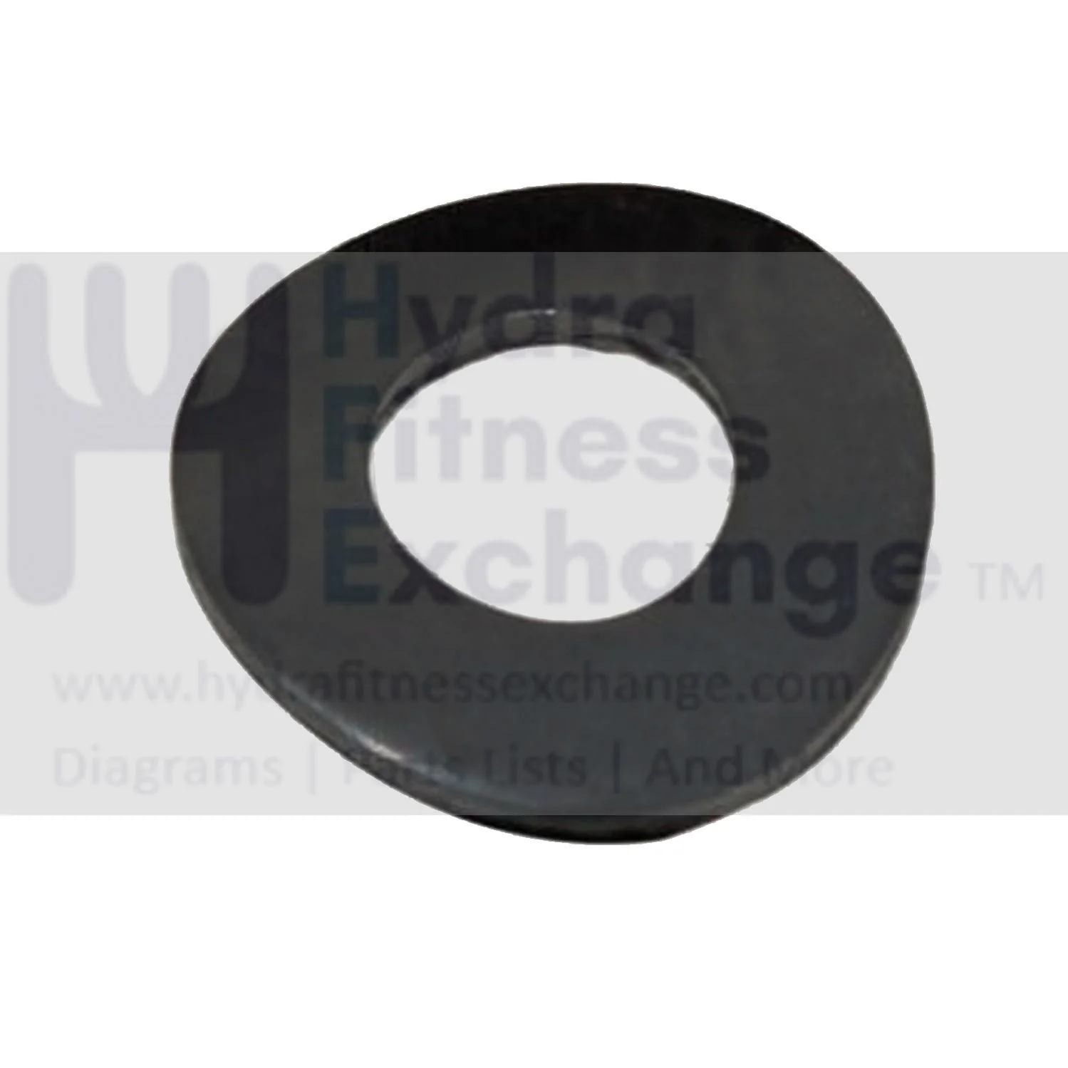 Horizon Matrix Fitness Livestrong Treadmill Arc Washer 8.2X18.0X1.5T 005165-00 Formerly 005165-AD