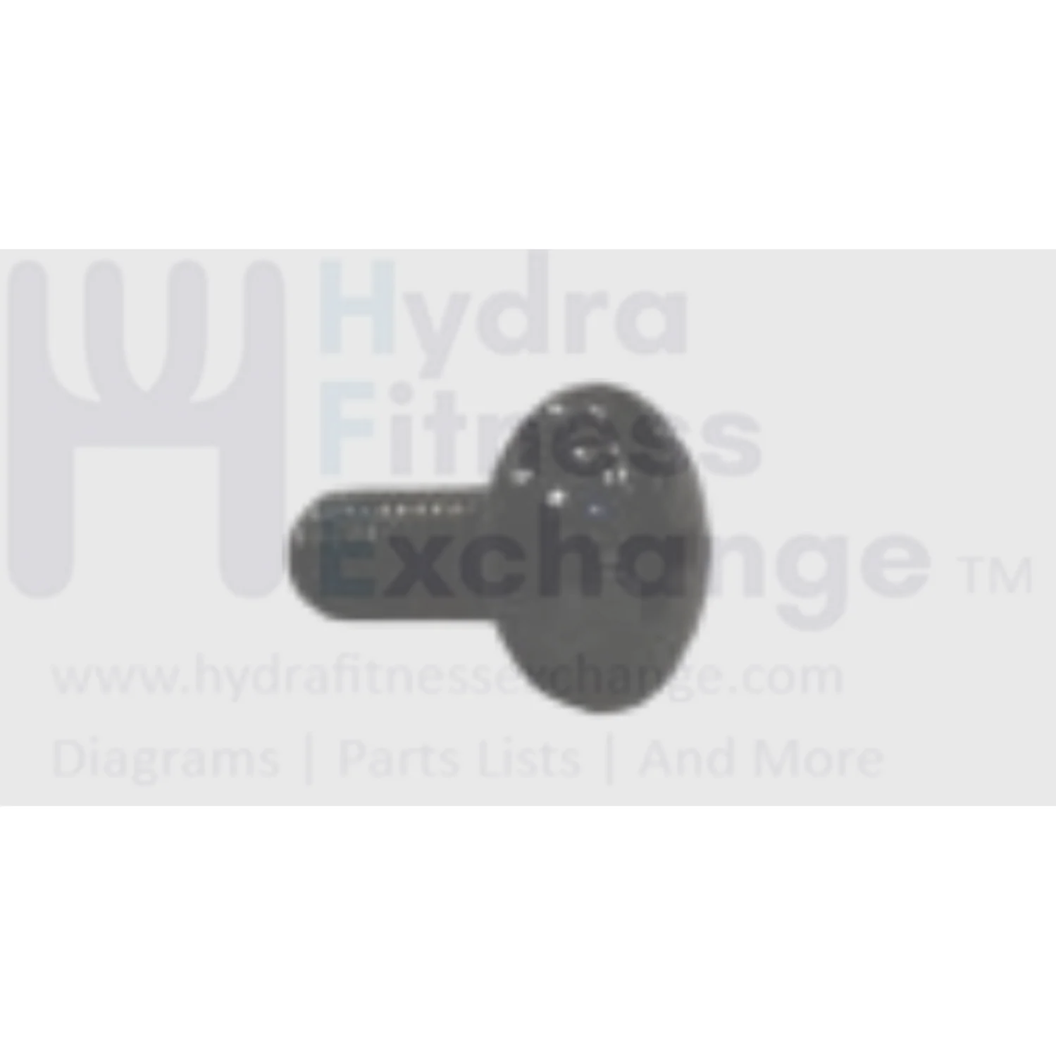 Matrix Fitness Stationary Bike Button Head Screw M4- 0.7P x 10L 004362-00