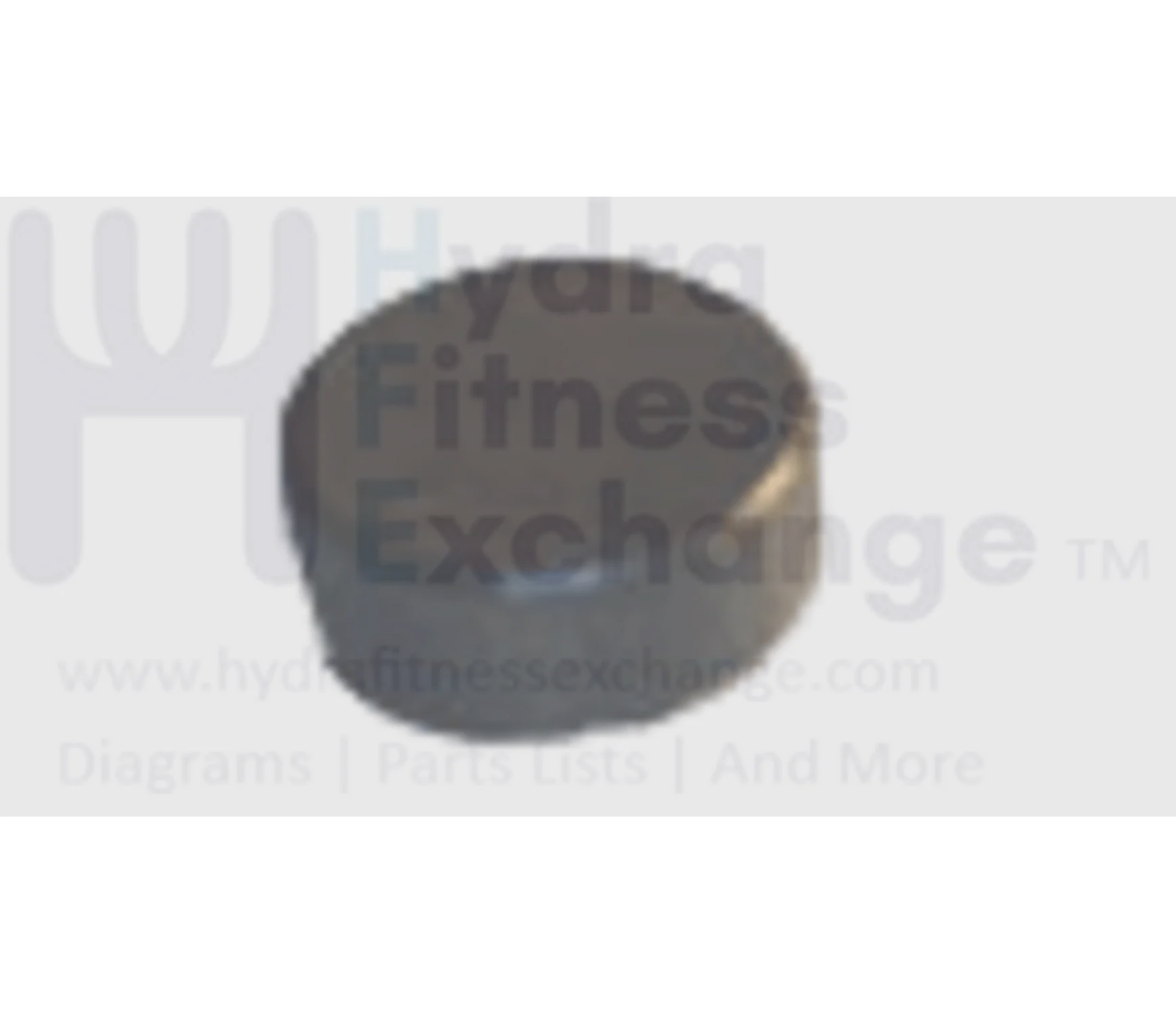Horizon Matrix Fitness Stationary Bike Magnet 1000096022