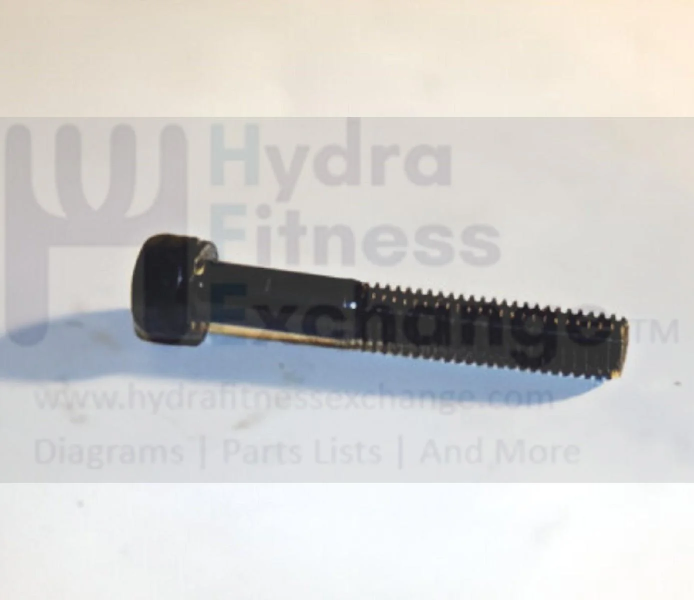 Matrix Fitness TM529 Treadmill Round Head Hex Socket Screw M6 - 1.0P x 40L 004474-00 - Image 2