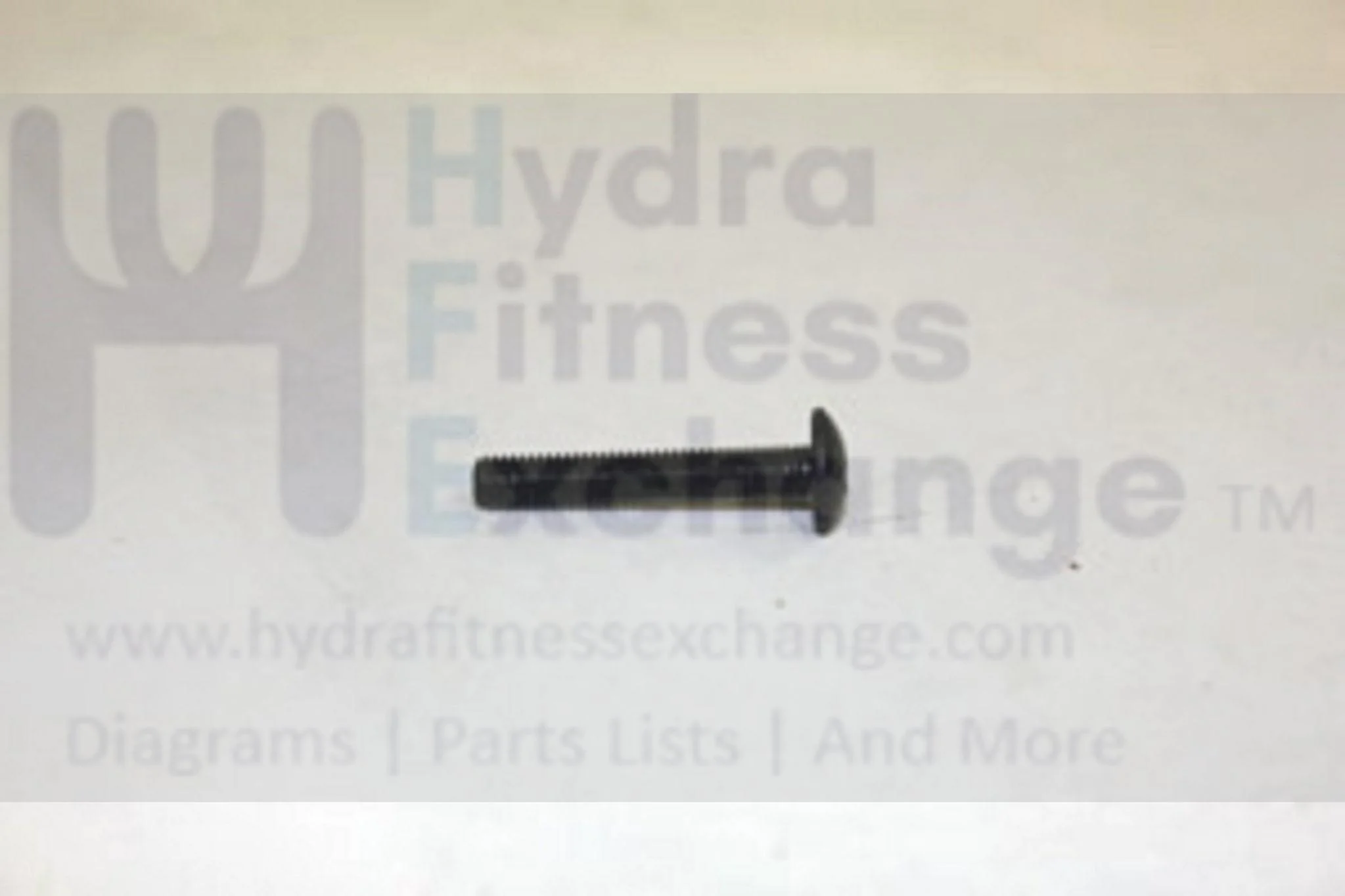 Horizon Matrix Fitness Treadmill Button Head Screw M5X0.8PX30L 020016-00
