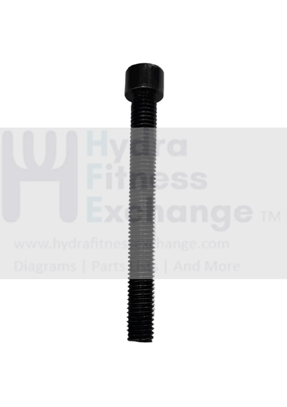 Horizon Fitness Treadmill Round Head Hex Socket Screw M10 - 1.5P x 90L 004496-AC