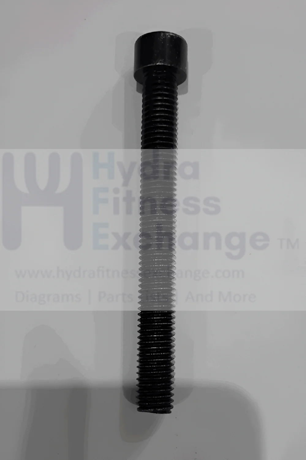 Horizon Fitness Treadmill Round Head Hex Socket Screw M10 - 1.5P x 90L 004496-AC - Image 2