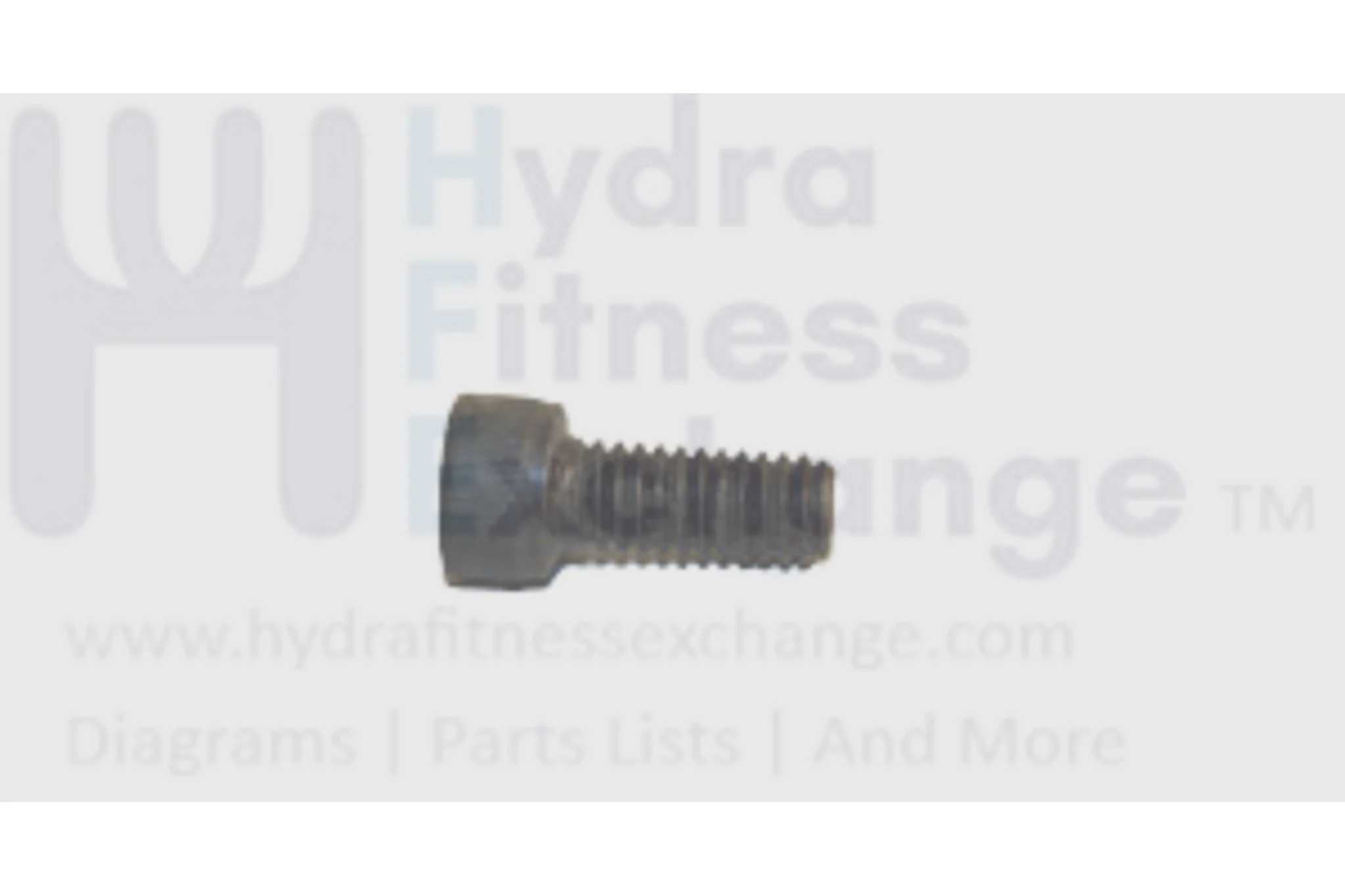 Horizon Fitness Treadmill Round Head Socket Screw 5/16-18UNC x 18L 037938-A