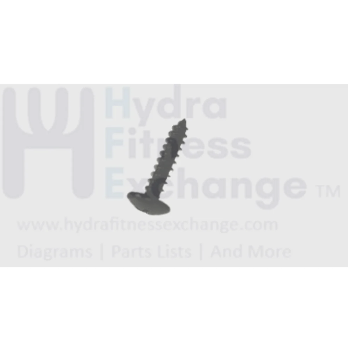Horizon Matrix Retail Fitness Treadmill Button Head Screw Diam.4 X 20L 020202-A