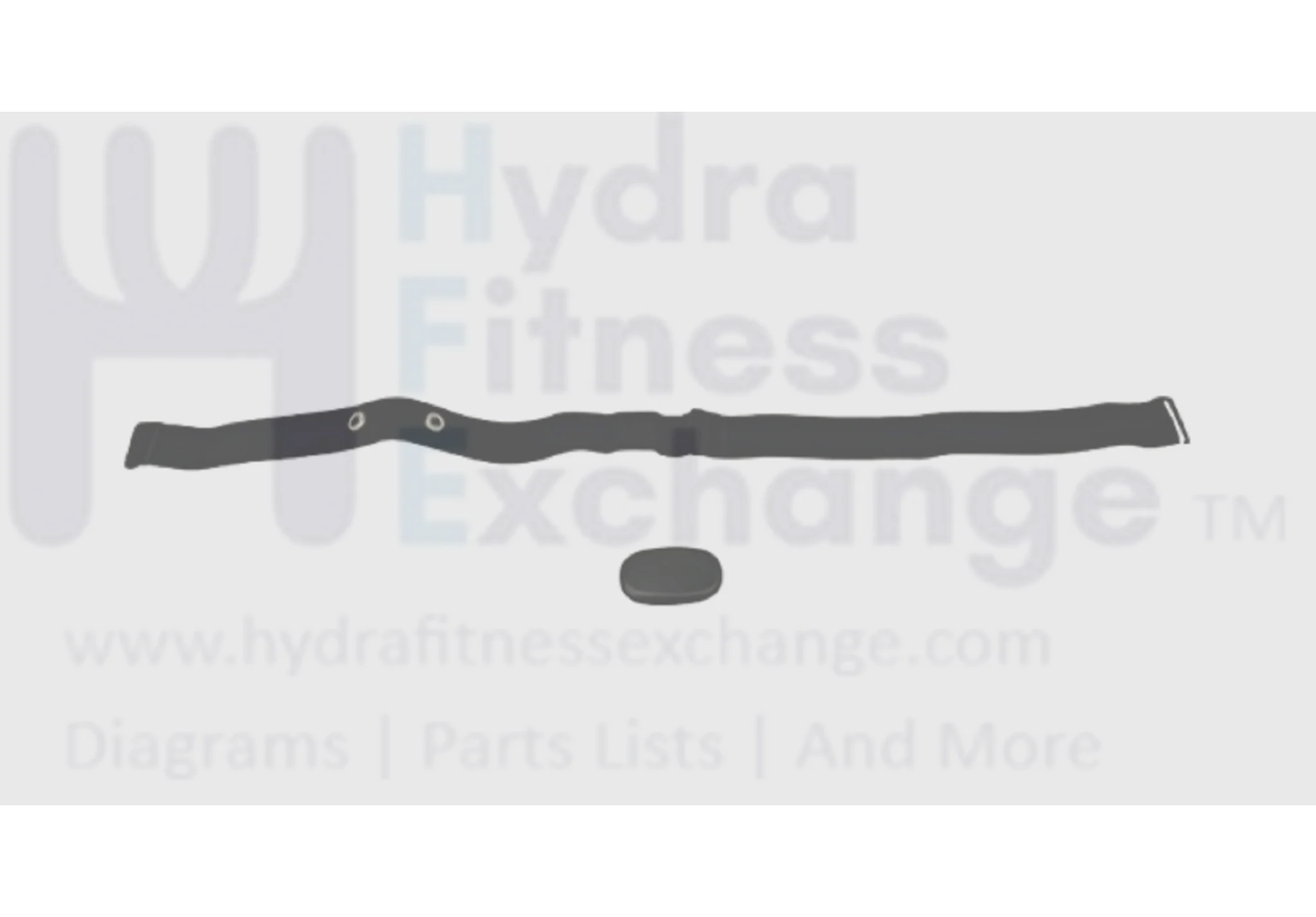 Horizon Fitness TM1000C Treadmill Chest Strap with Elastic Strap 1000376389