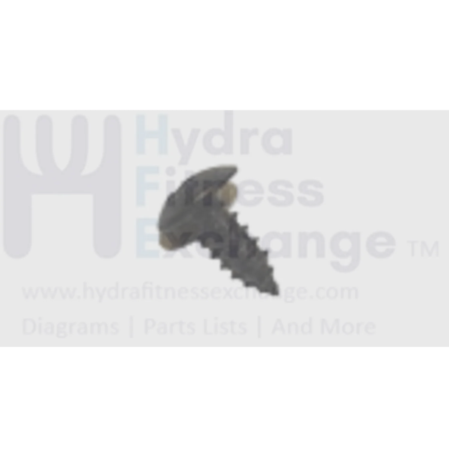 Matrix Fitness Stationary Bike Button Head Tapped Philip Screw 4 x 10L 004626-00
