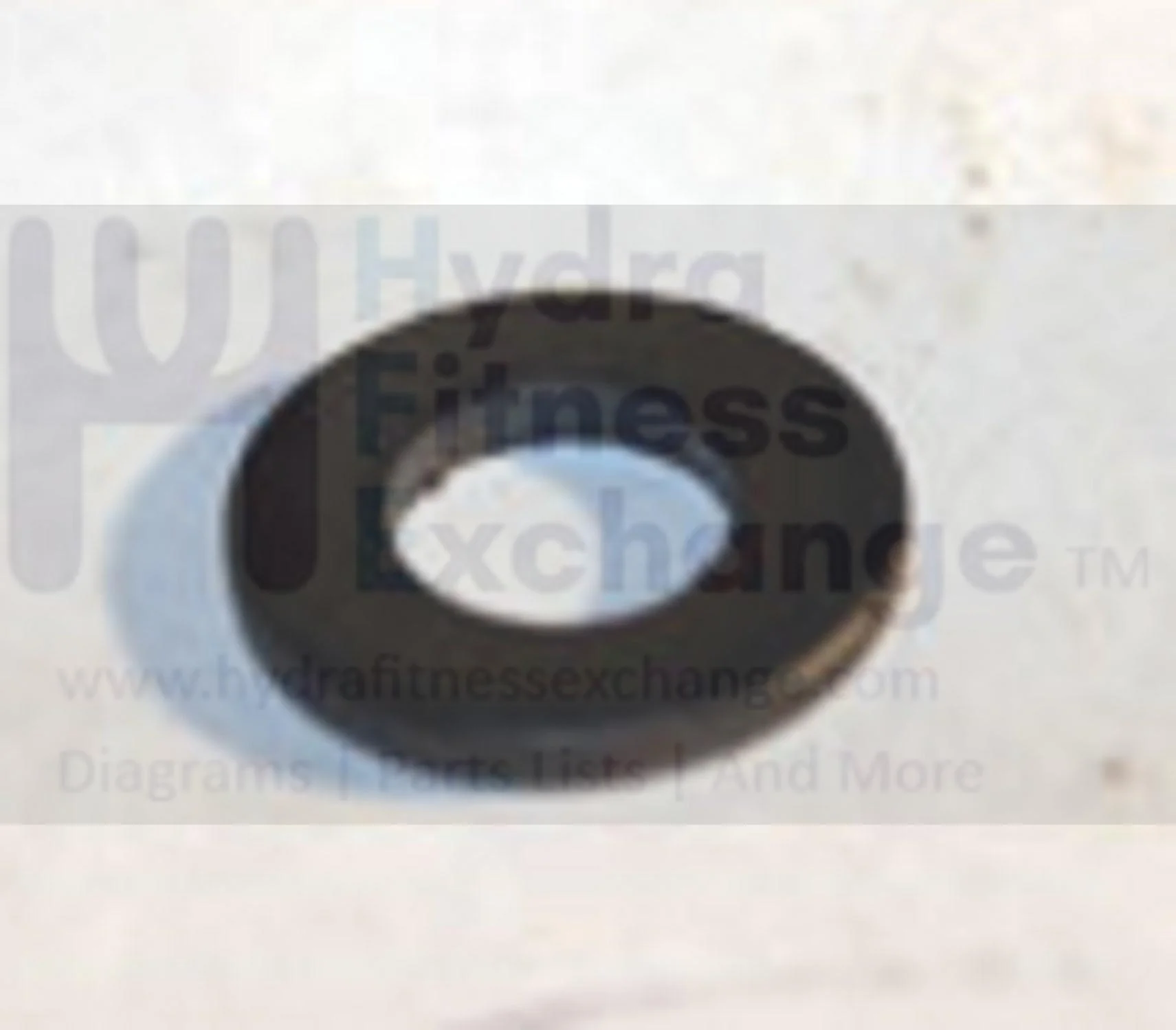 Horizon Matrix Vision Fitness Commercial Elliptical Flat Washer 6.5x13.0x1.5T 005072-00 - Image 2