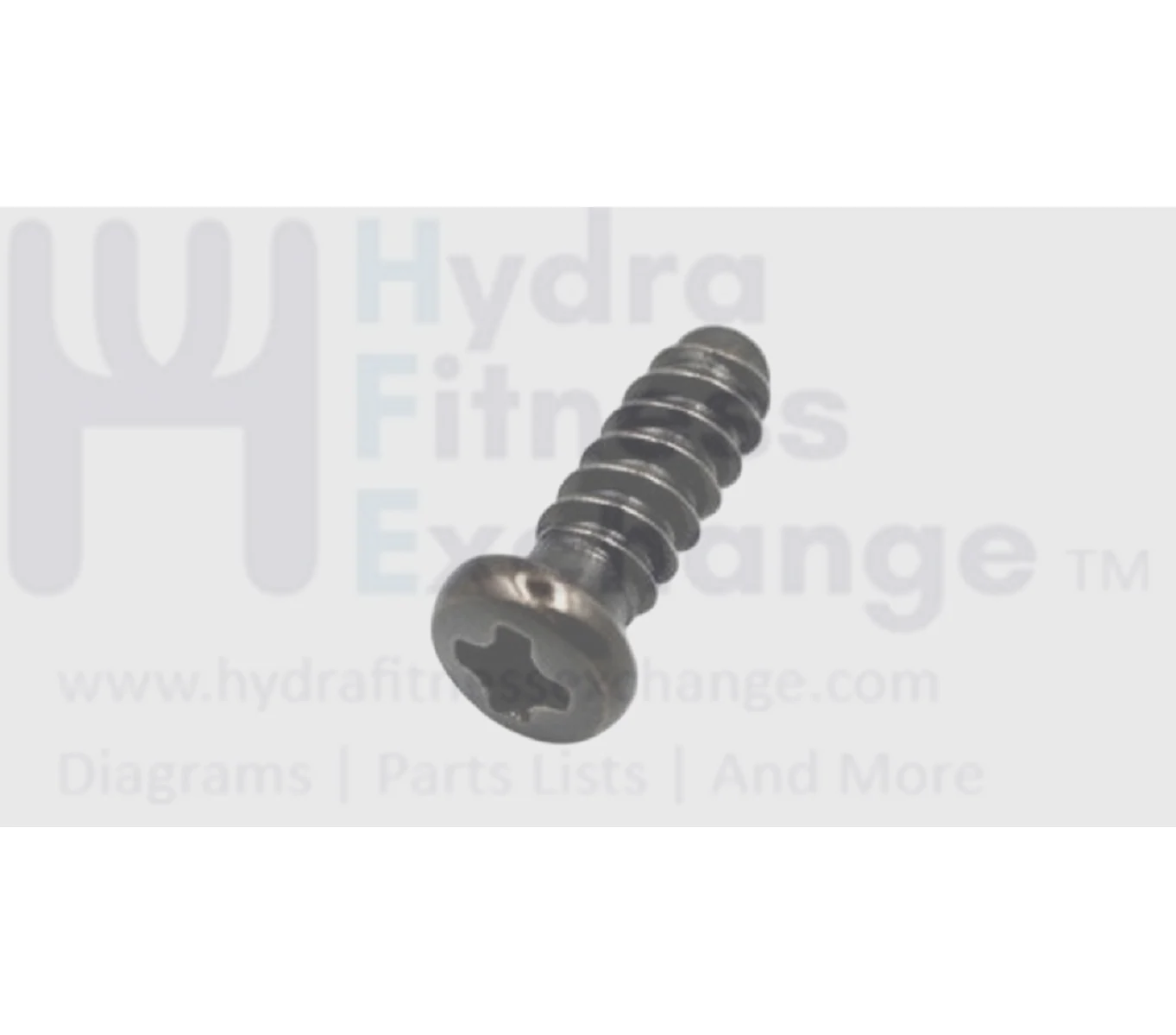Matrix Fitness Elliptical Round Phillip Screw 3 x 12L 004647-00