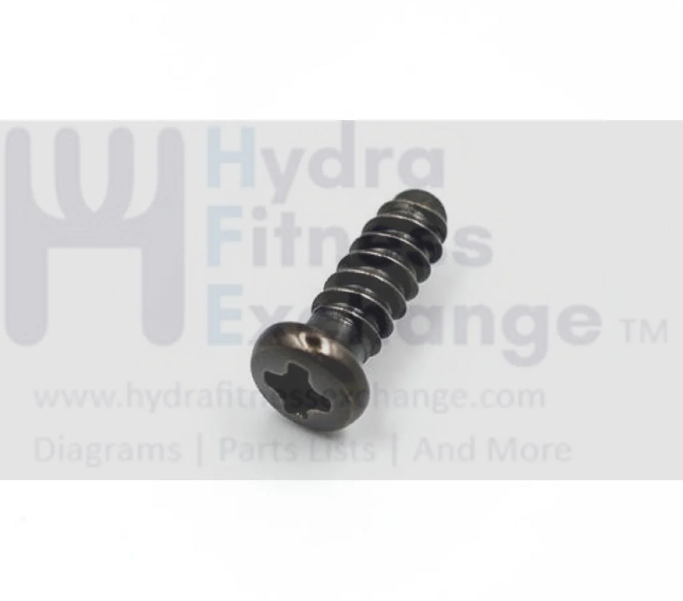 Matrix Fitness Elliptical Round Phillip Screw 3 x 12L 004647-00 - Image 2