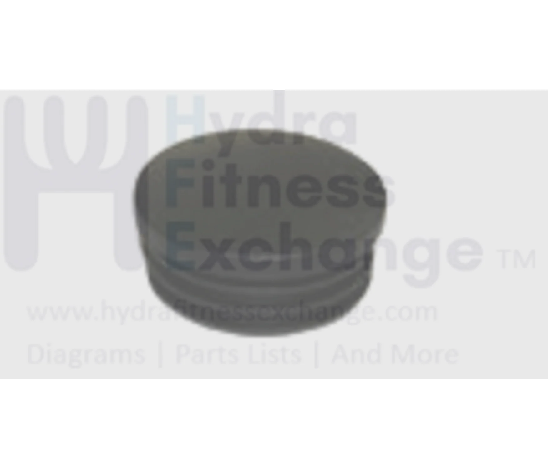 Horizon Matrix Vision Fitness Livestrong Elliptical Handlebar Black End Cap 000945-AA