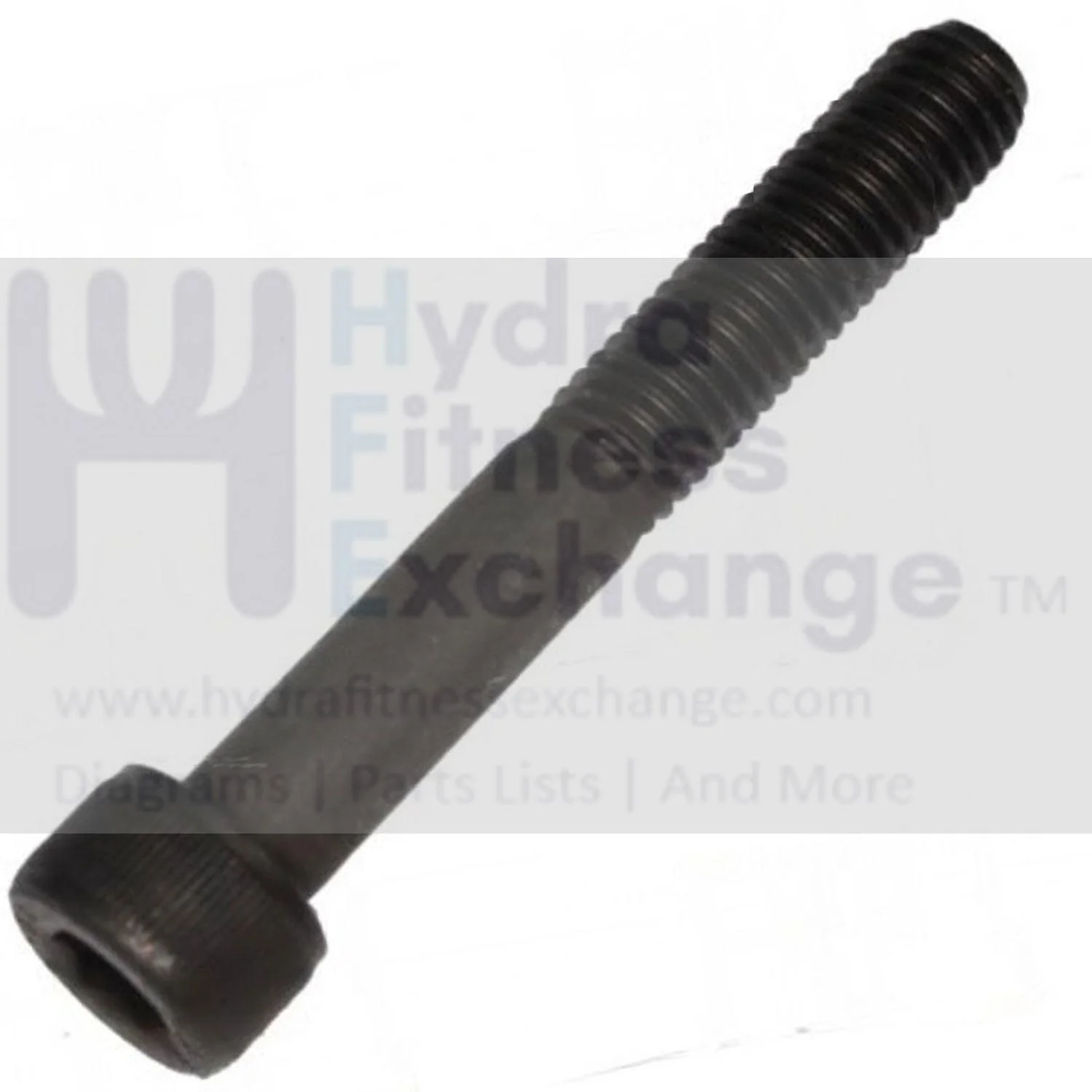 Horizon Matrix Vision Fitness Livestrong Rower Round Hex Socket Screw M8x1.25Px55L 004488-AC