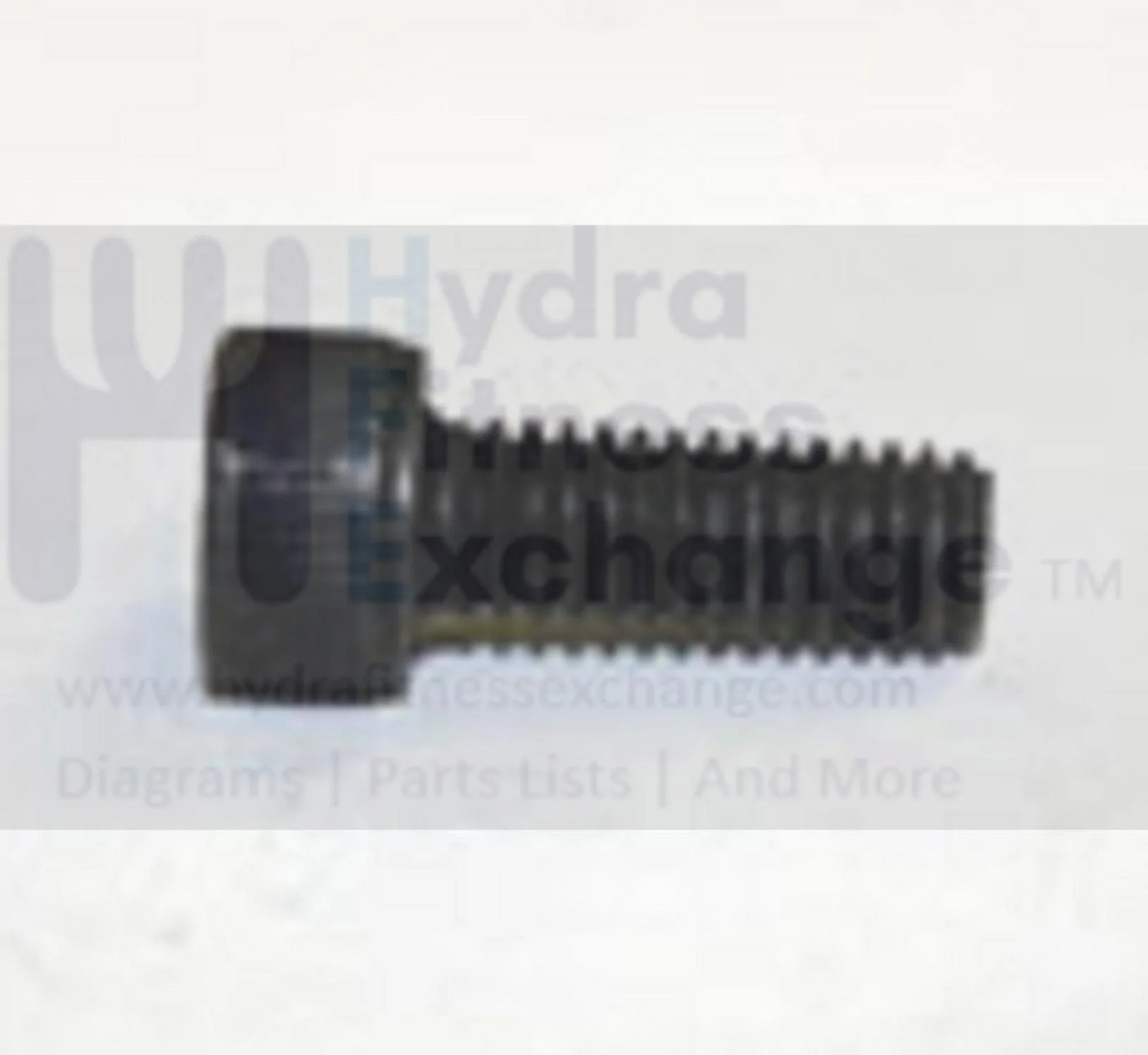 Horizon Matrix Vision Fitness Stationary Bike Round Hex Socket Screw M6x1.0Px15L 004462-00