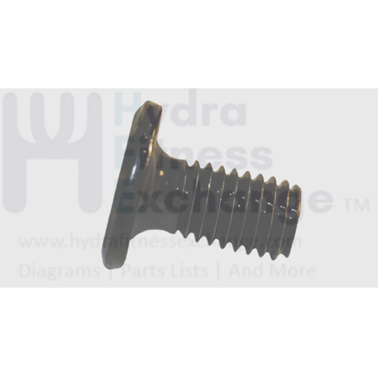 Matrix Fitness Strength System Flat Head Hex Socket Screw M8 - 1.25P x 15L 004693-00