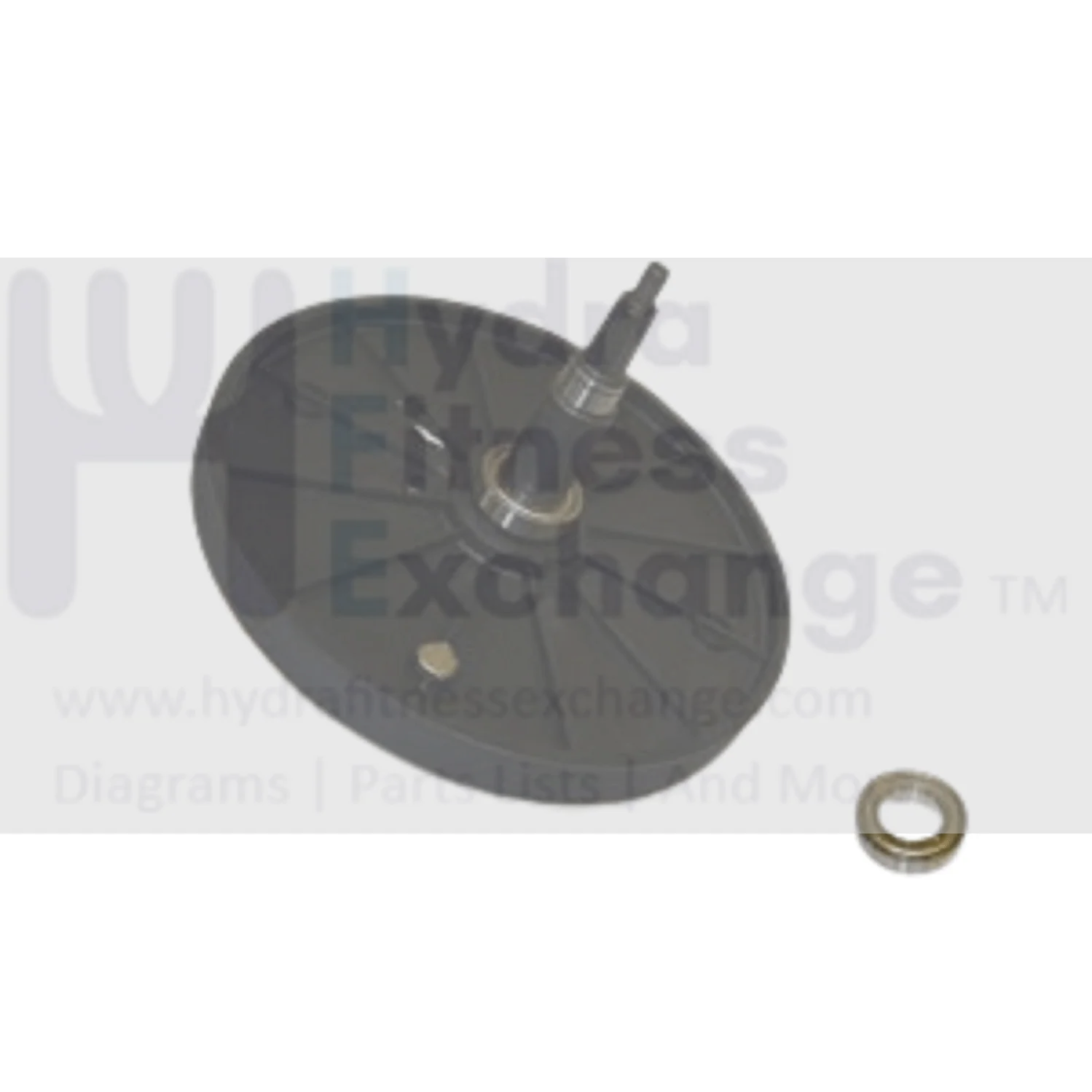Horizon Merit Fitness EP230B EP230D EP230C EP230 E901-SM Elliptical Flywheel Pulley Assembly 1000094003