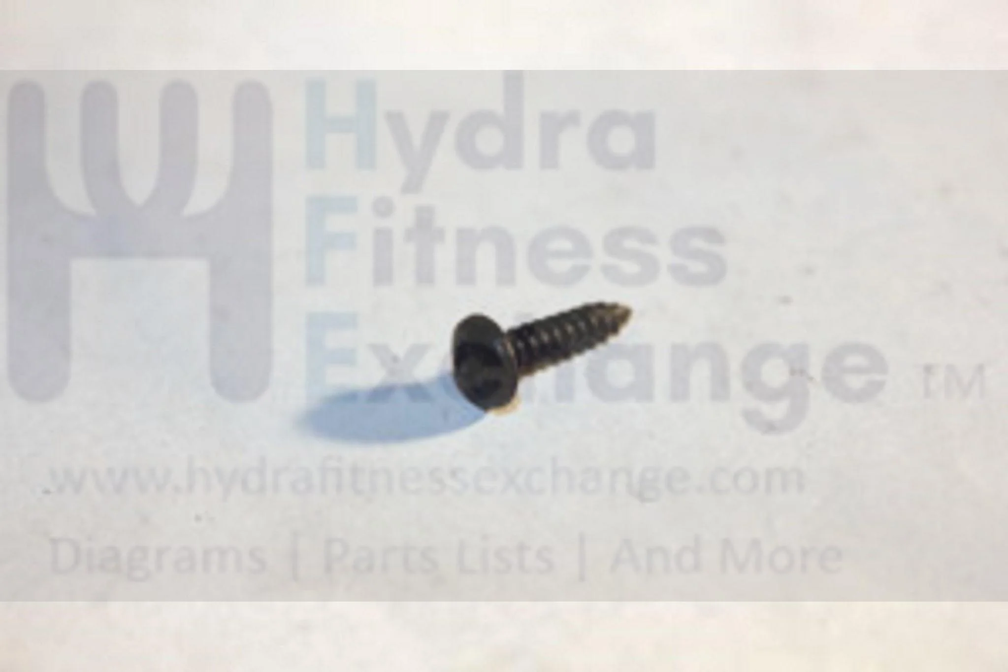 Horizon Merit Fitness T100 735T Treadmill Big Button Head Screw 3X12L 1000104985