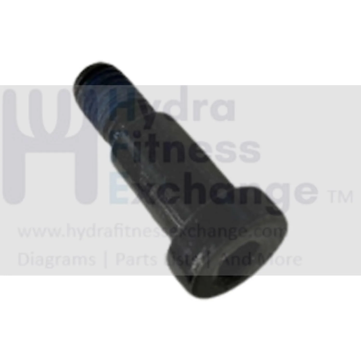 Horizon Fitness T202-06 T101-07 Treadmill Screw M8x1.25Px13L-D10x15.5L 1000447759