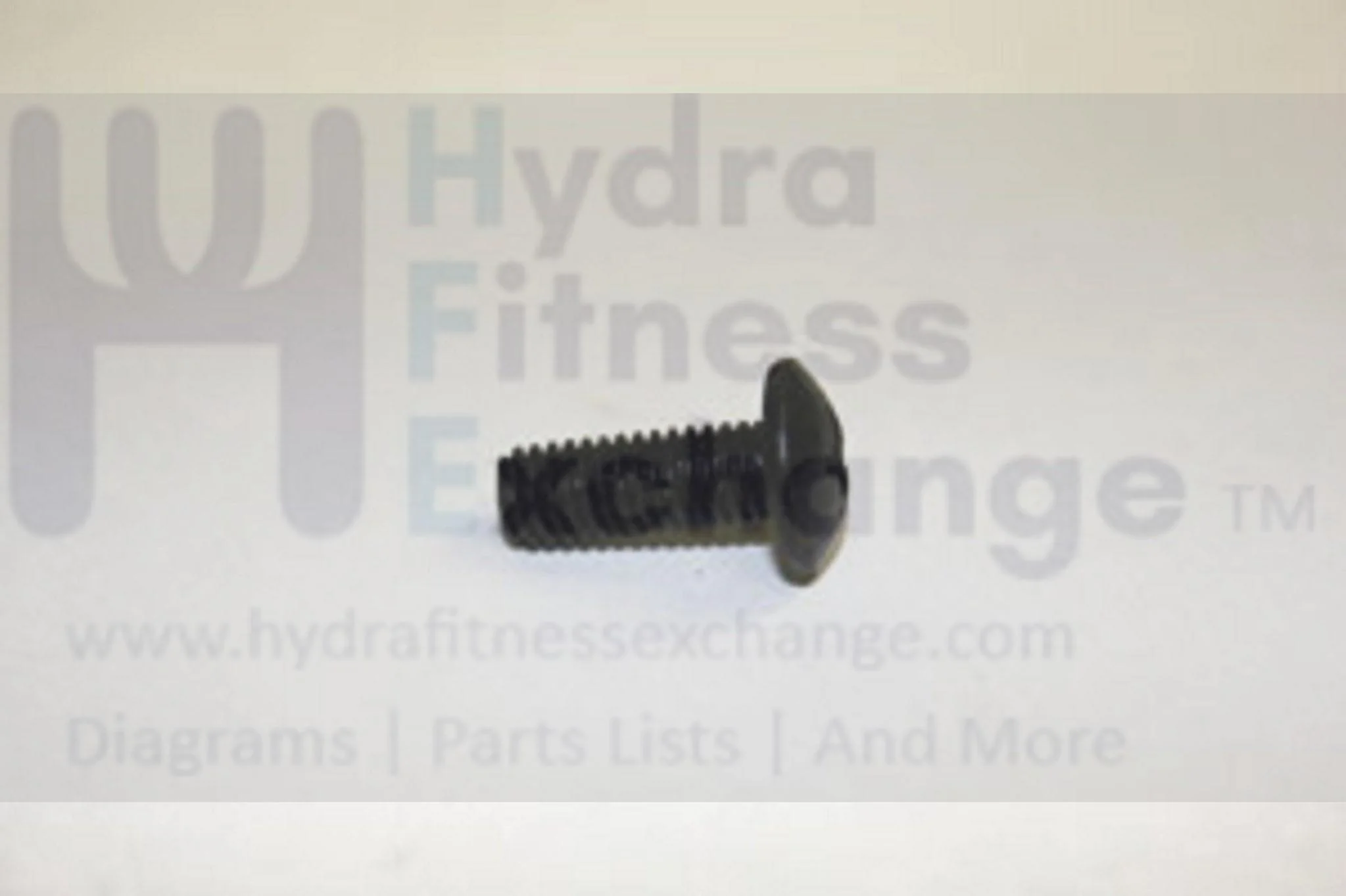 Horizon Merit Tempo Fitness Gear Triumph Treadmill Phillip Button Screw M6x1.0Px16L 020019-00 - Image 2