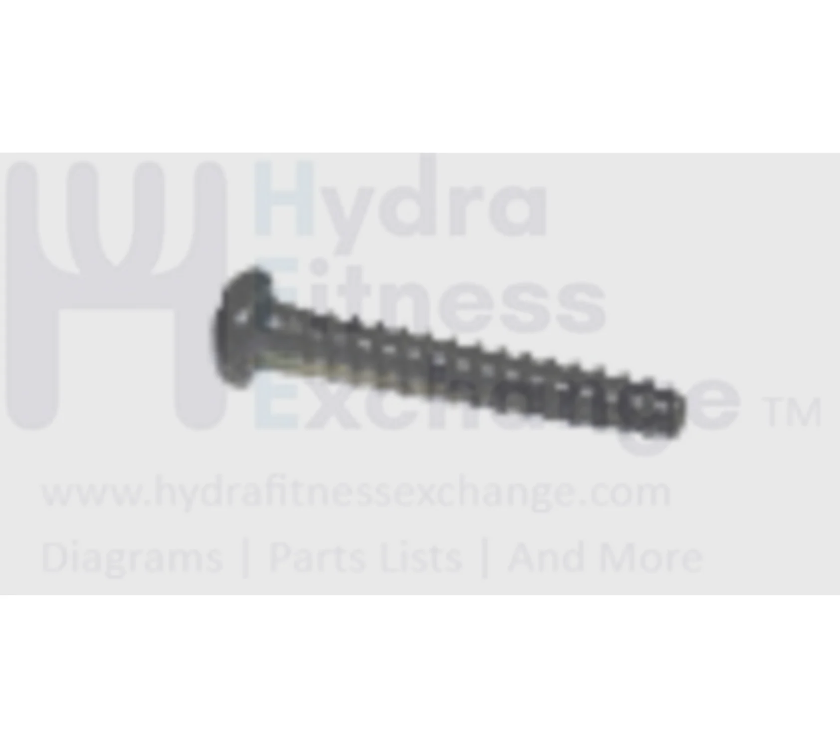 Horizon Merit Tempo Fitness Stationary Bike Round Phillip Screw 3x18L 020214-A