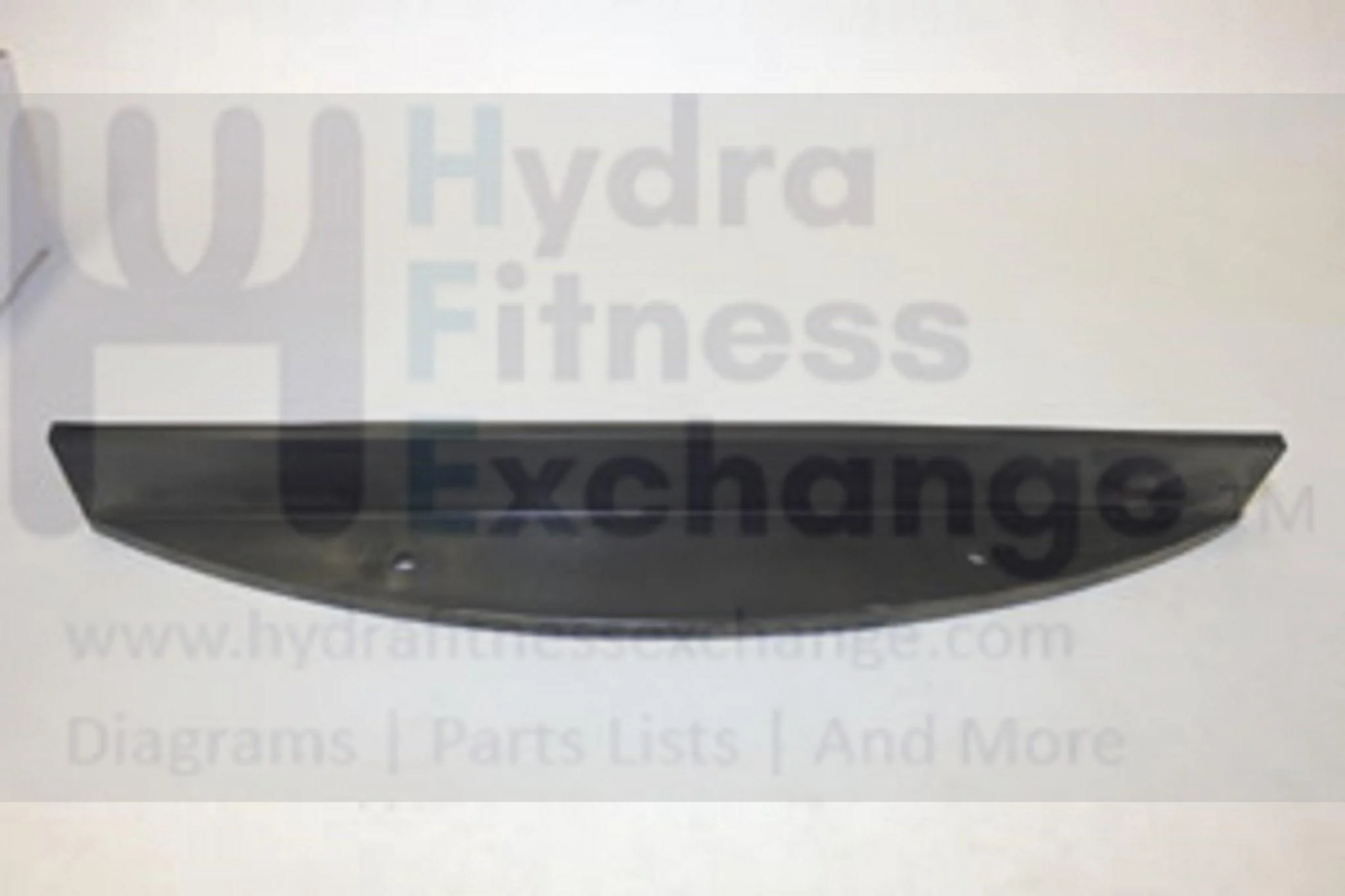 Horizon Merit Tempo Triumph Fitness Gear Treadmill Accent Piece 039398-AA