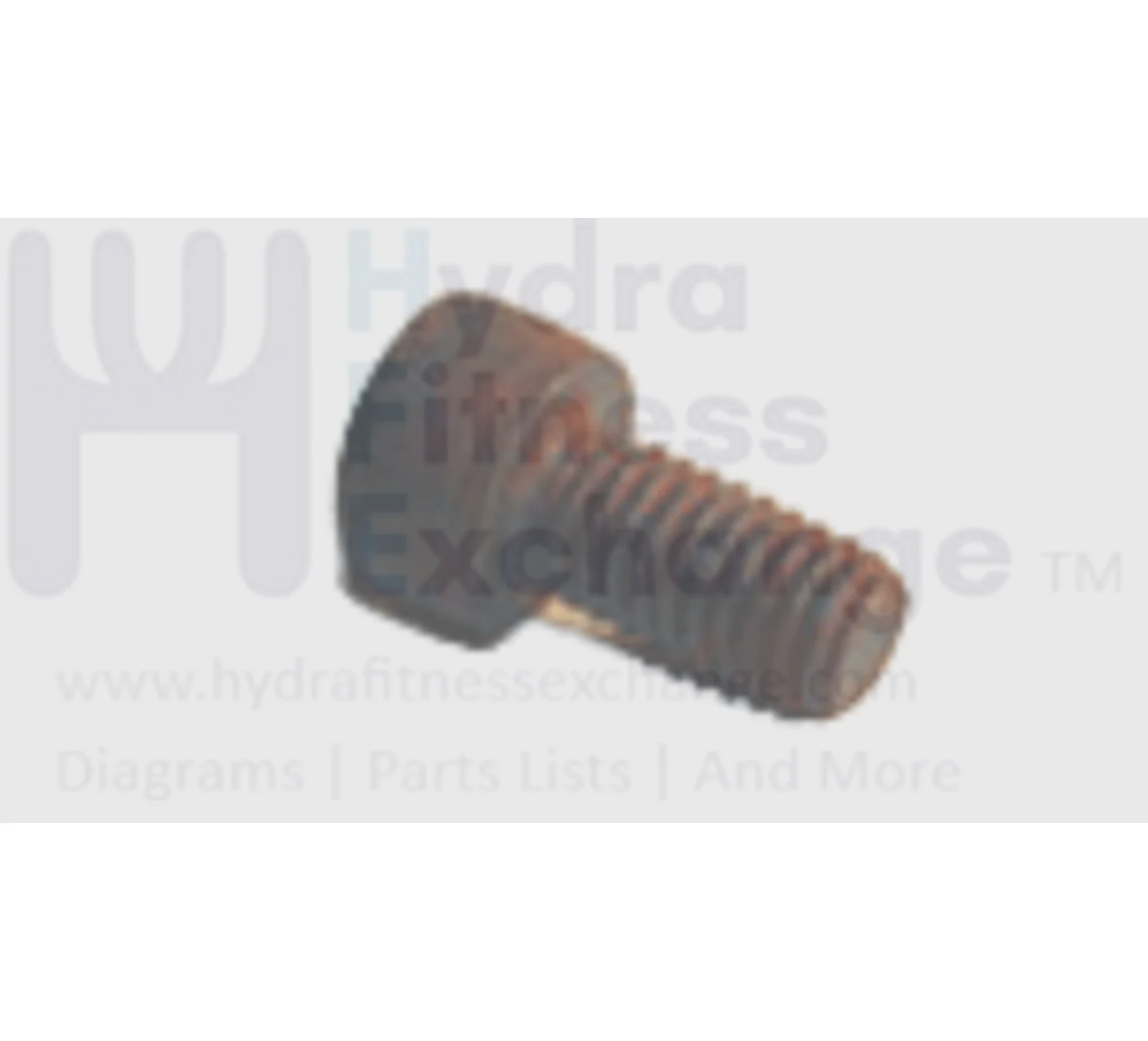 Horizon Merit Tempo Vision Fitness Stationary Bike Button Head Phillip Screw M6x1.0Px12L 020024-00