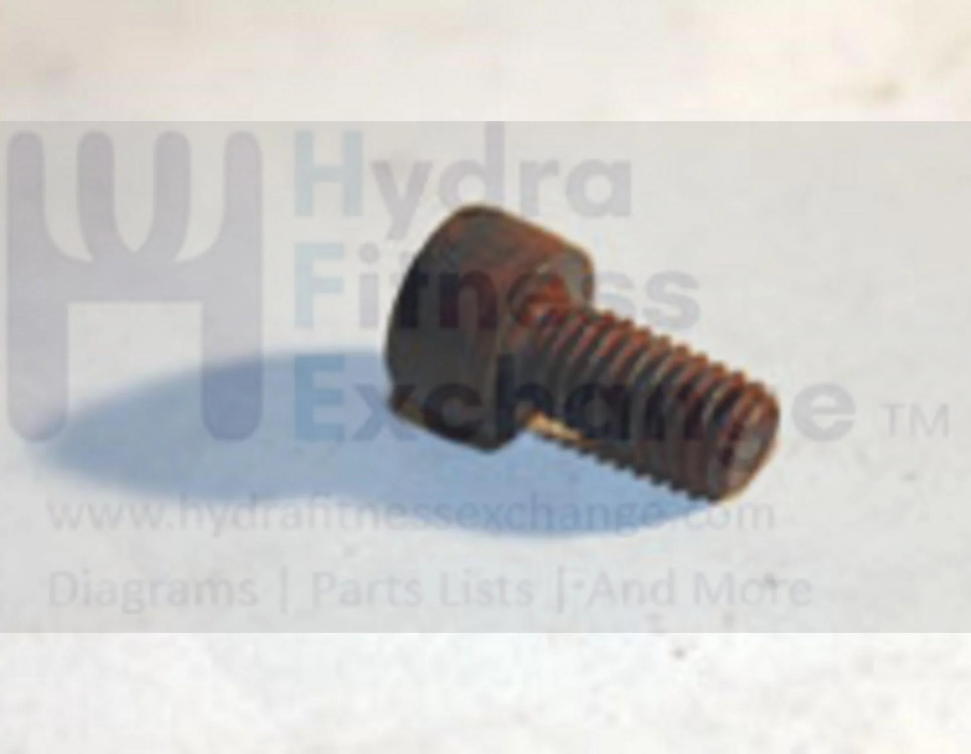 Horizon Merit Tempo Vision Fitness Stationary Bike Button Head Phillip Screw M6x1.0Px12L 020024-00 - Image 2