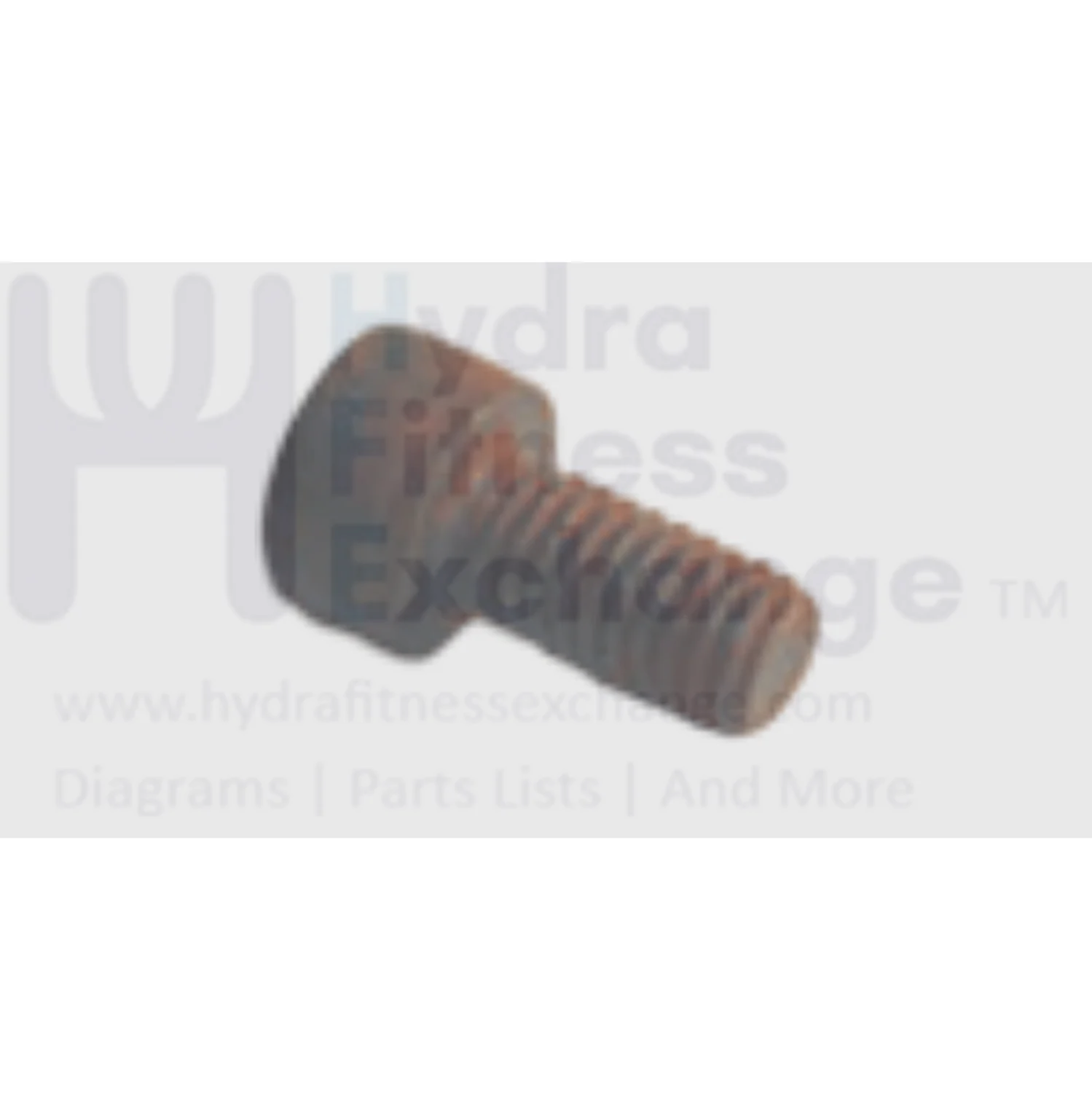 Horizon Fitness Treadmill Button Head Screw M6 - 1.0P1 x 2L 020024-00