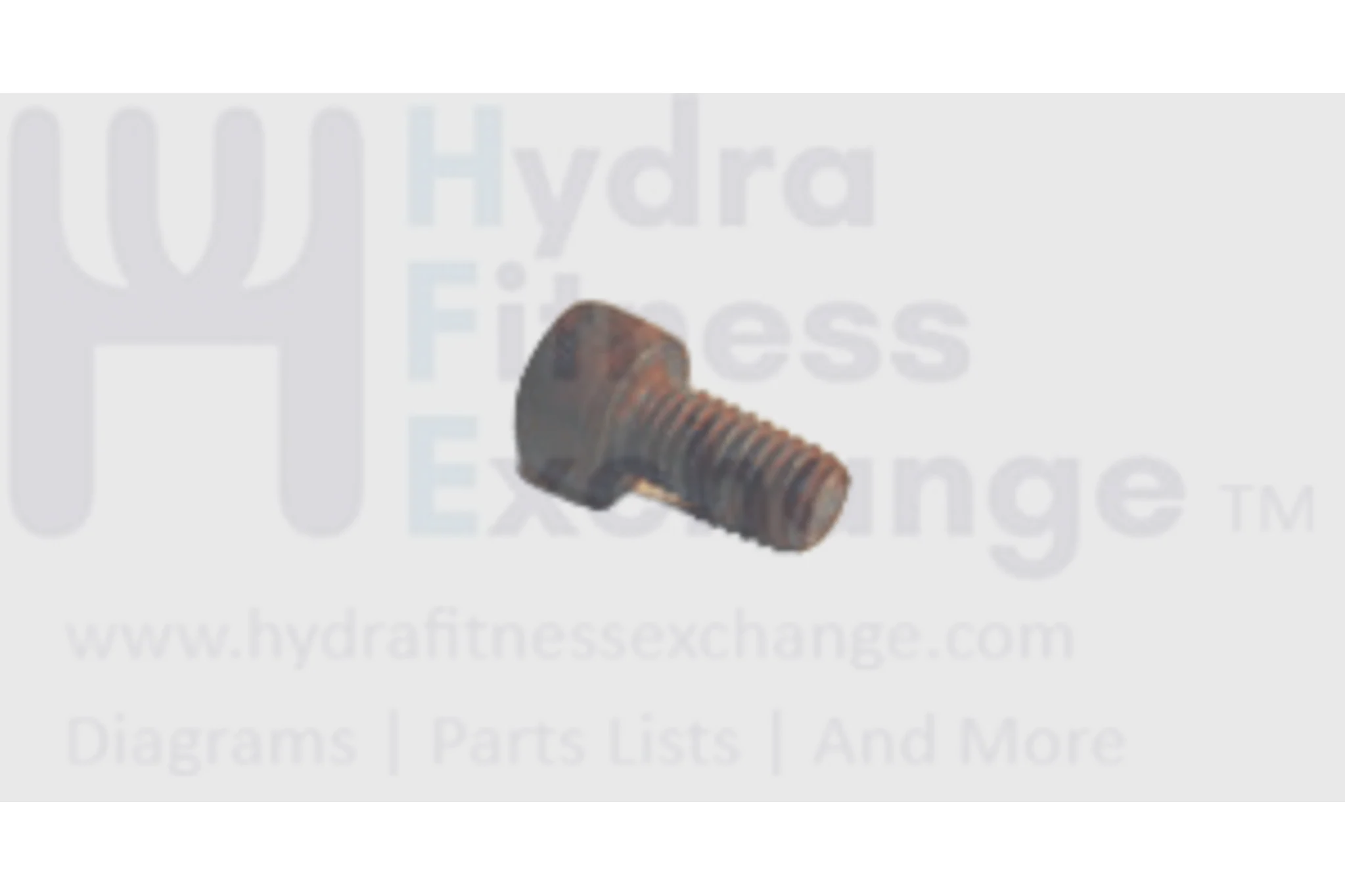 Horizon Fitness Treadmill Button Head Screw M6 - 1.0P1 x 2L 020024-00 - Image 2