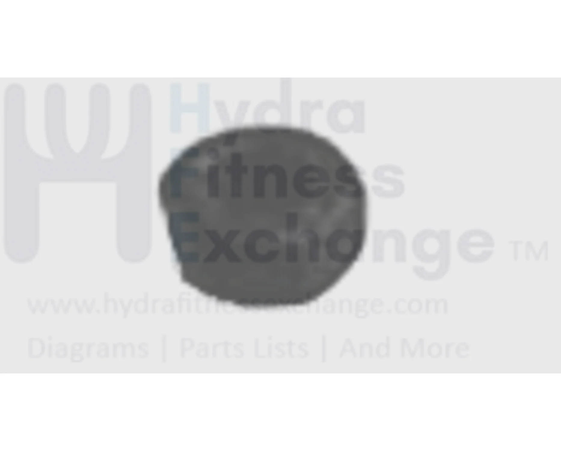 Horizon Smooth Advanced Fitness Group Treadmill Hex Nut M5X0.8PX4H 004903-Z