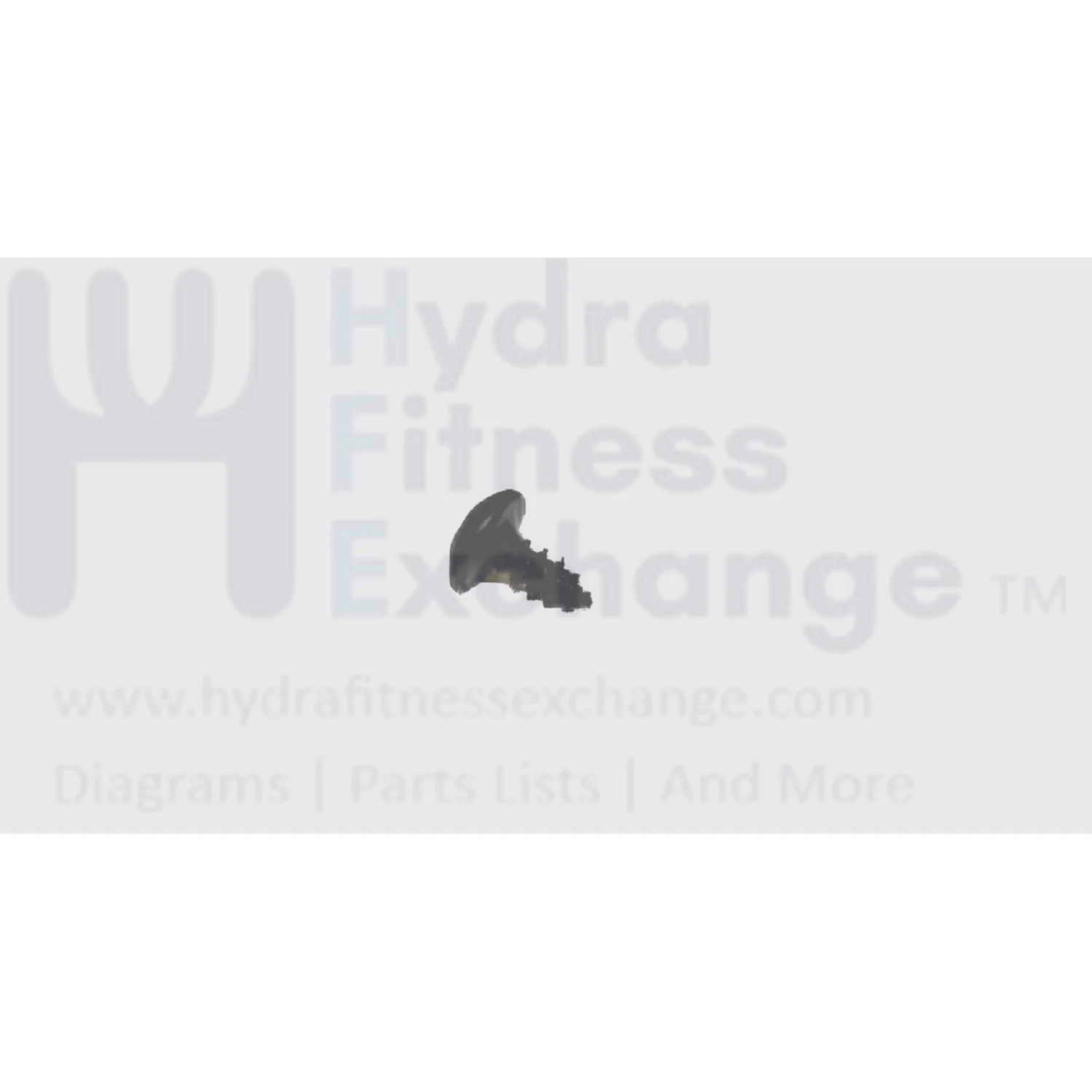Matrix Fitness Treadmill Oval Tapping Screw 3 x 7L 004635-A