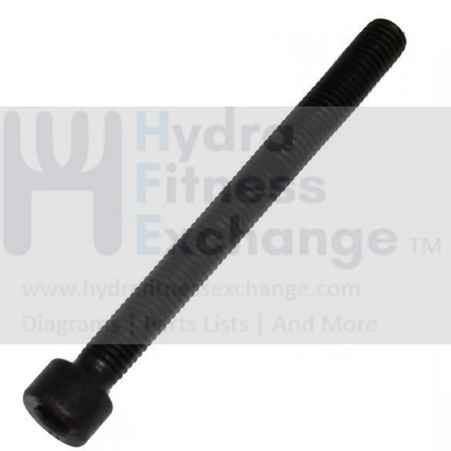 Horizon Smooth Fitness Livestrong Rower Round Hex Socket Screw M8x1.25Px85L 004486-00