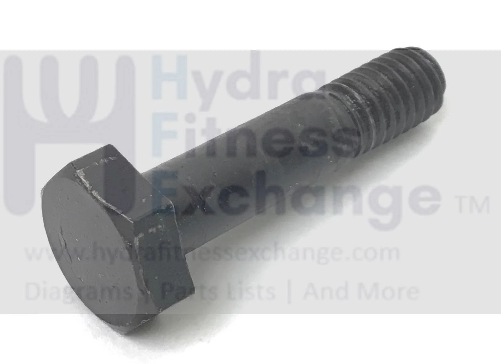 Horizon Smooth Fitness Livestrong Treadmill Hex Head Screw 3/8-16-1.65" 004595-B