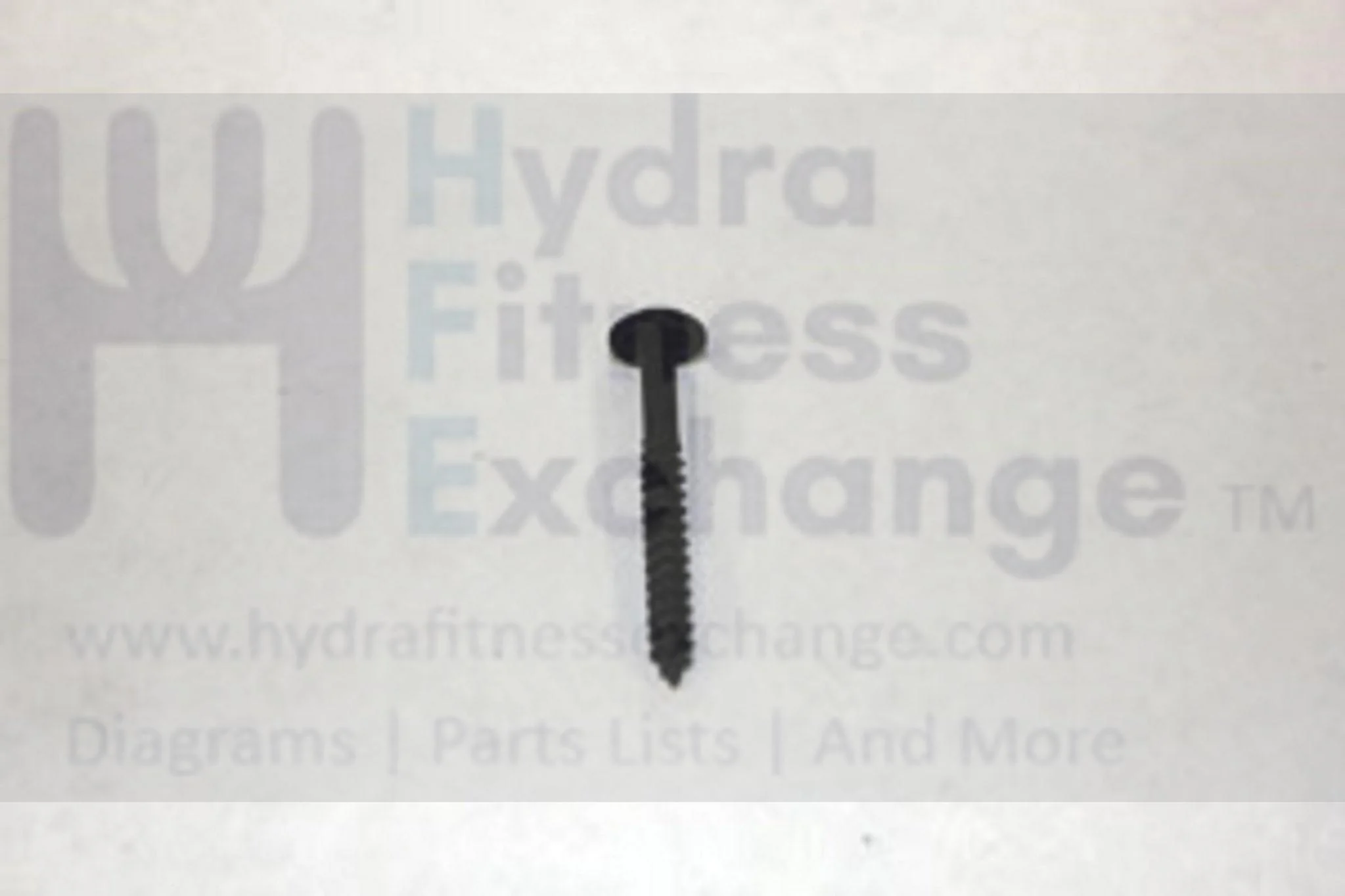Horizon Smooth Fitness Treadmill Umbrella Cross Tapped Screw 004640-A - Image 2