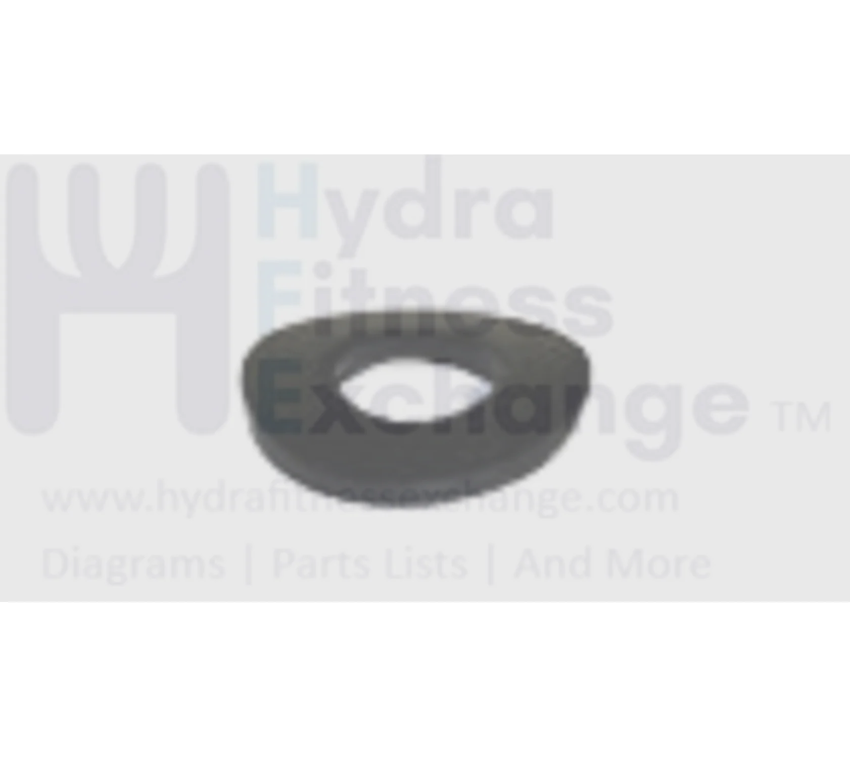 Horizon Tempo Fitness Gear Stationary Bike Arc Washer 8.4x20.0x1.5T 005169-00