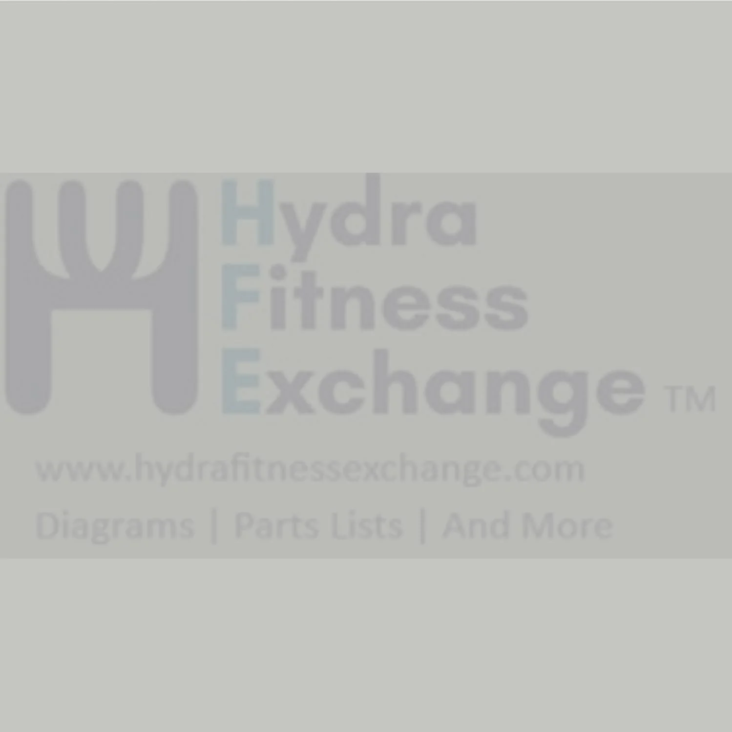 Horizon Tempo Fitness Livestrong M4 LS5.9IC-C1 LS5.0R 605E Stationary Bikes Computer