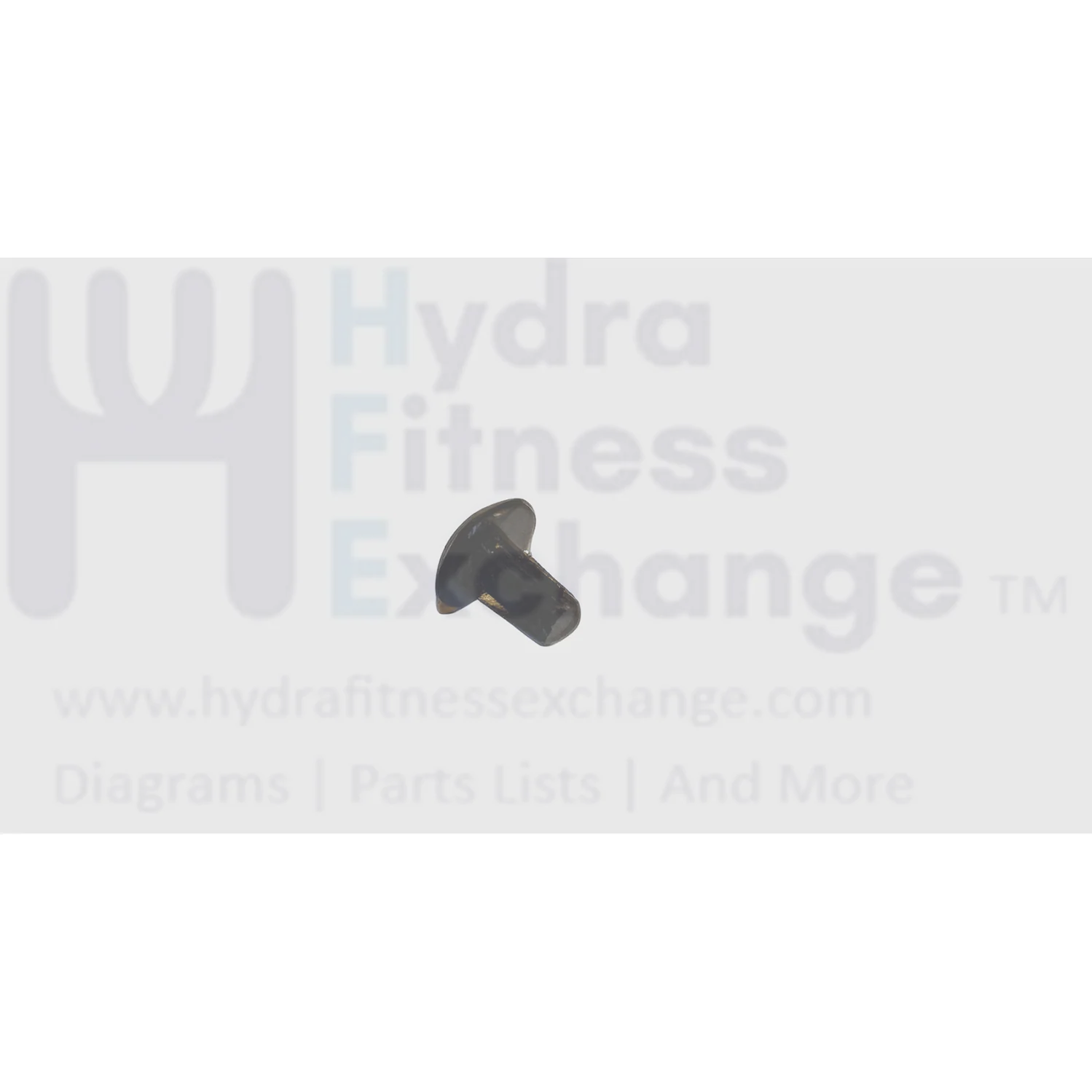 Matrix Fitness Stationary Bike Button Head Phillip Screw M3 - 0.5P x 6L 004350-00