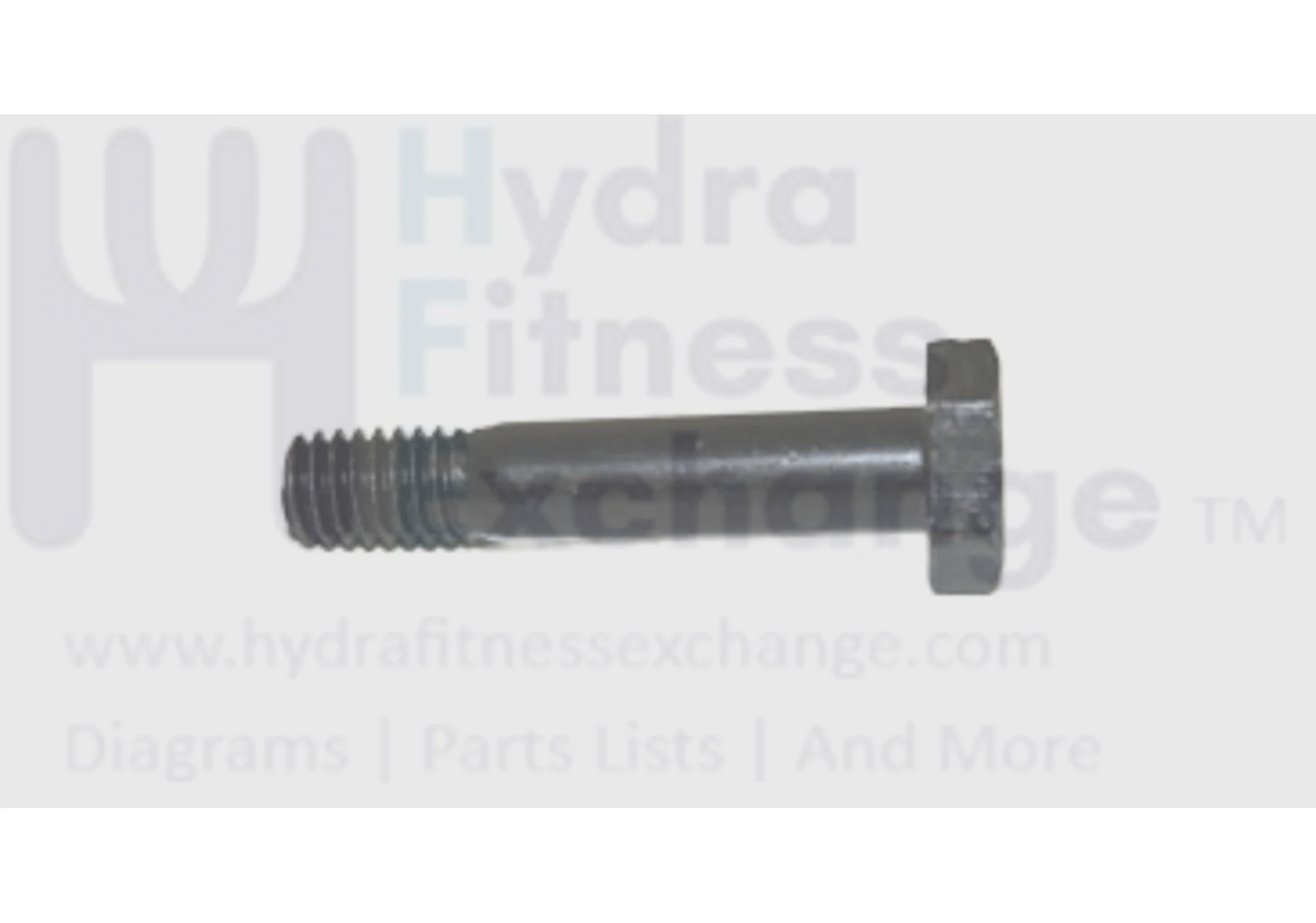 Horizon Tempo Merit Fitness Gear Treadmill Hex Head Screw M10x1.5Px40l 020162-A
