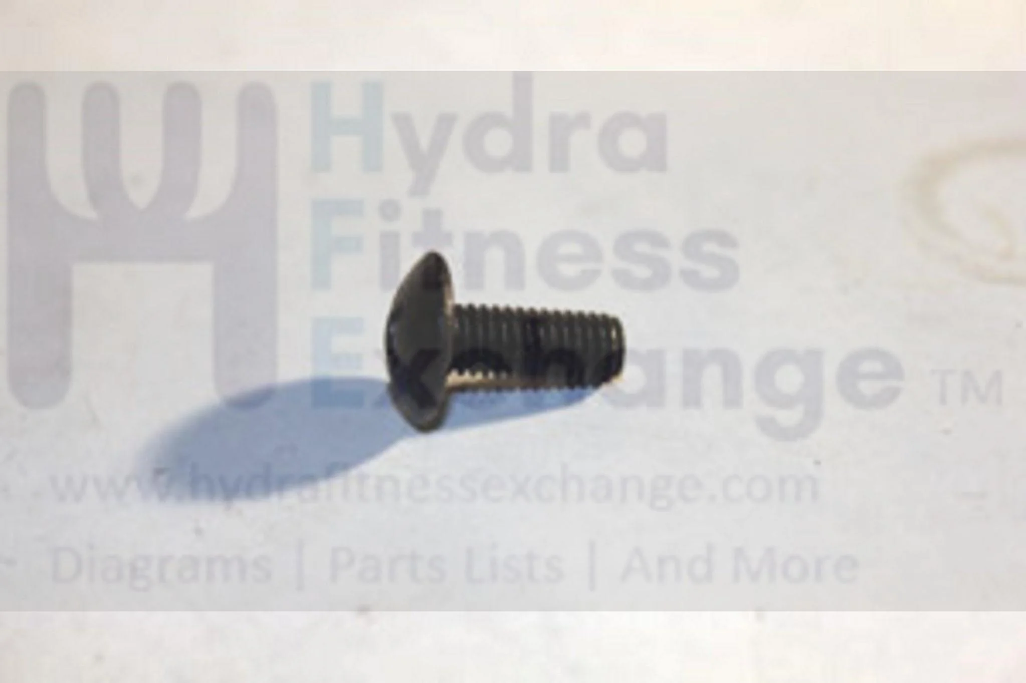 Horizon Tempo Merit Fitness Treadmill Button Head Screw M6X1.0PX15L 056548-00