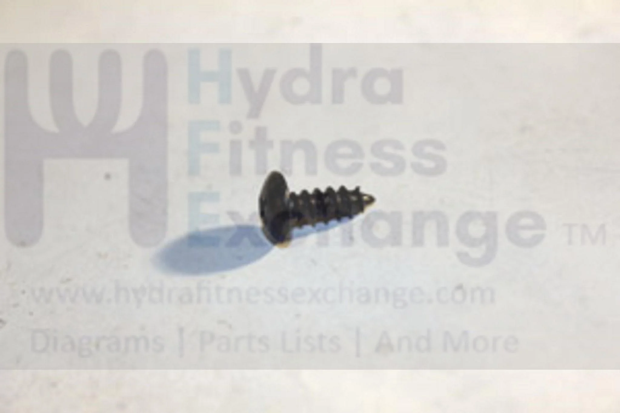 Horizon Tempo Merit Fitness Treadmill Button Head Tapped Screw 4X12L 004620-AB