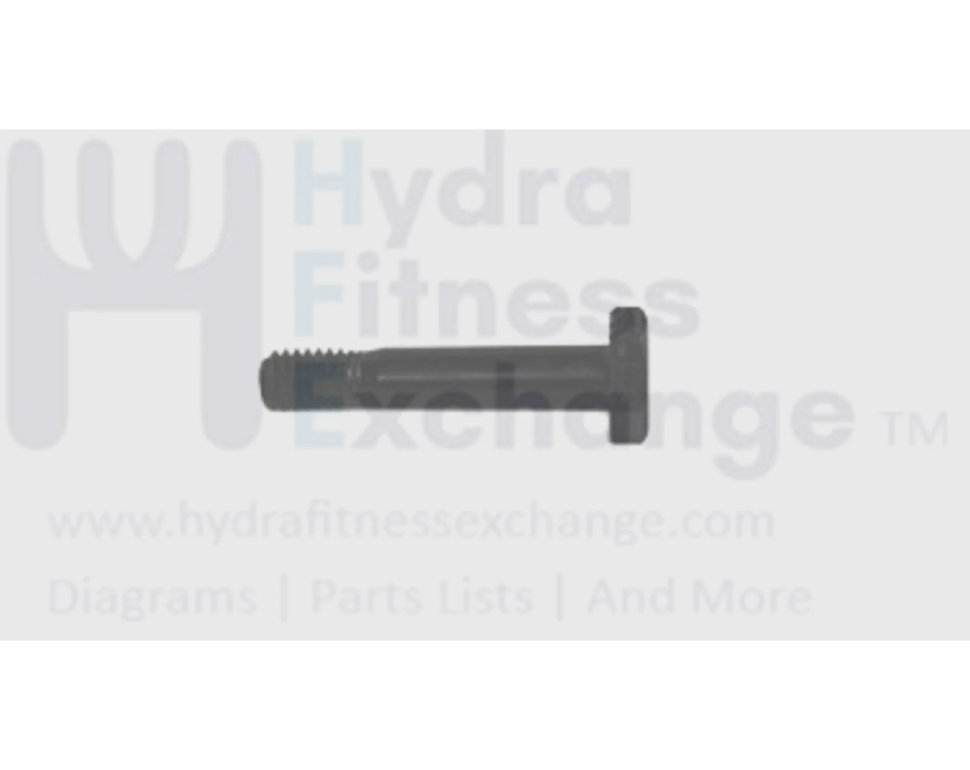 Horizon Vision AFG Fitness Treadmill Hex Head Screw 3/8-16uncx50l-14l 020152-00