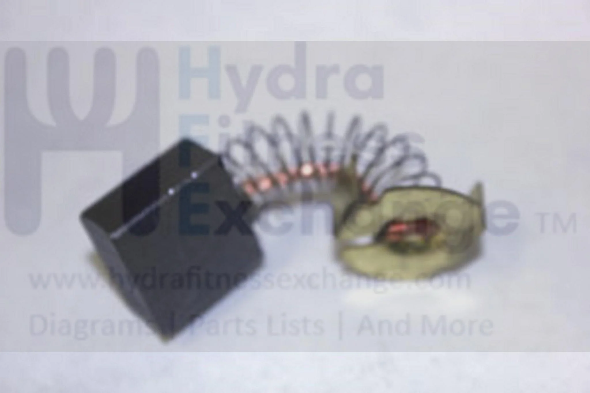 Horizon Vision Fitness 7.4AT-04 PST8 T9500 T9600 Treadmill Motor Brush 003803-00