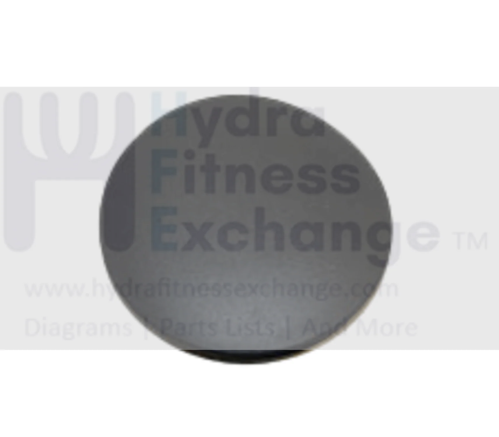 Horizon Vision Fitness E1201 E901 X6150 X6250HRT Elliptical Internal Endcap 063869-AA