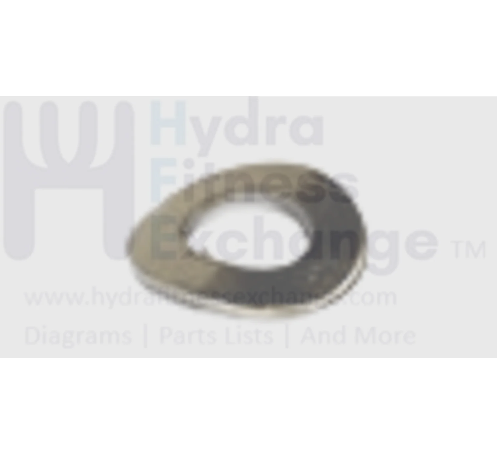 Horizon Vision Fitness Elliptical ARC Washer 8.4x17.0x1.0T 079301
