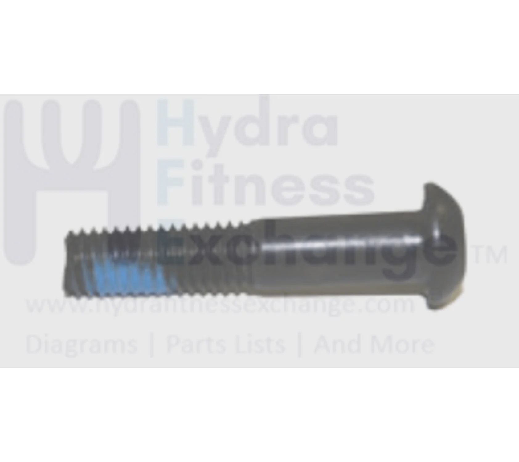 Horizon Vision Fitness Elliptical Button Head Phillip Screw M8x1.25Px40L 1000090498