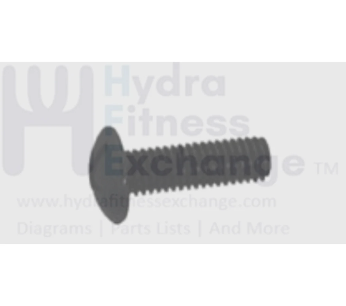 Vision Fitness Stationary Bike Button Head Screw M5 - 0.8P x 15L 020340-00