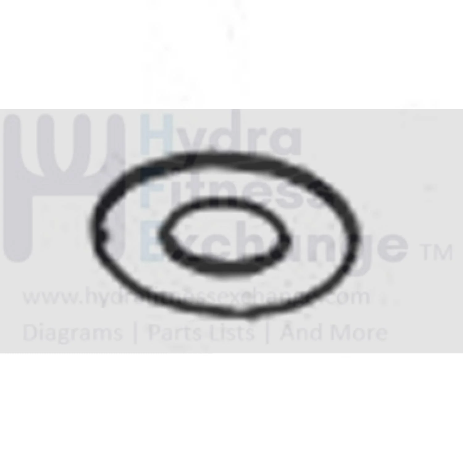Horizon Vision Fitness Stationary Bike Flat Washer 10.3X20X1.0T 081713