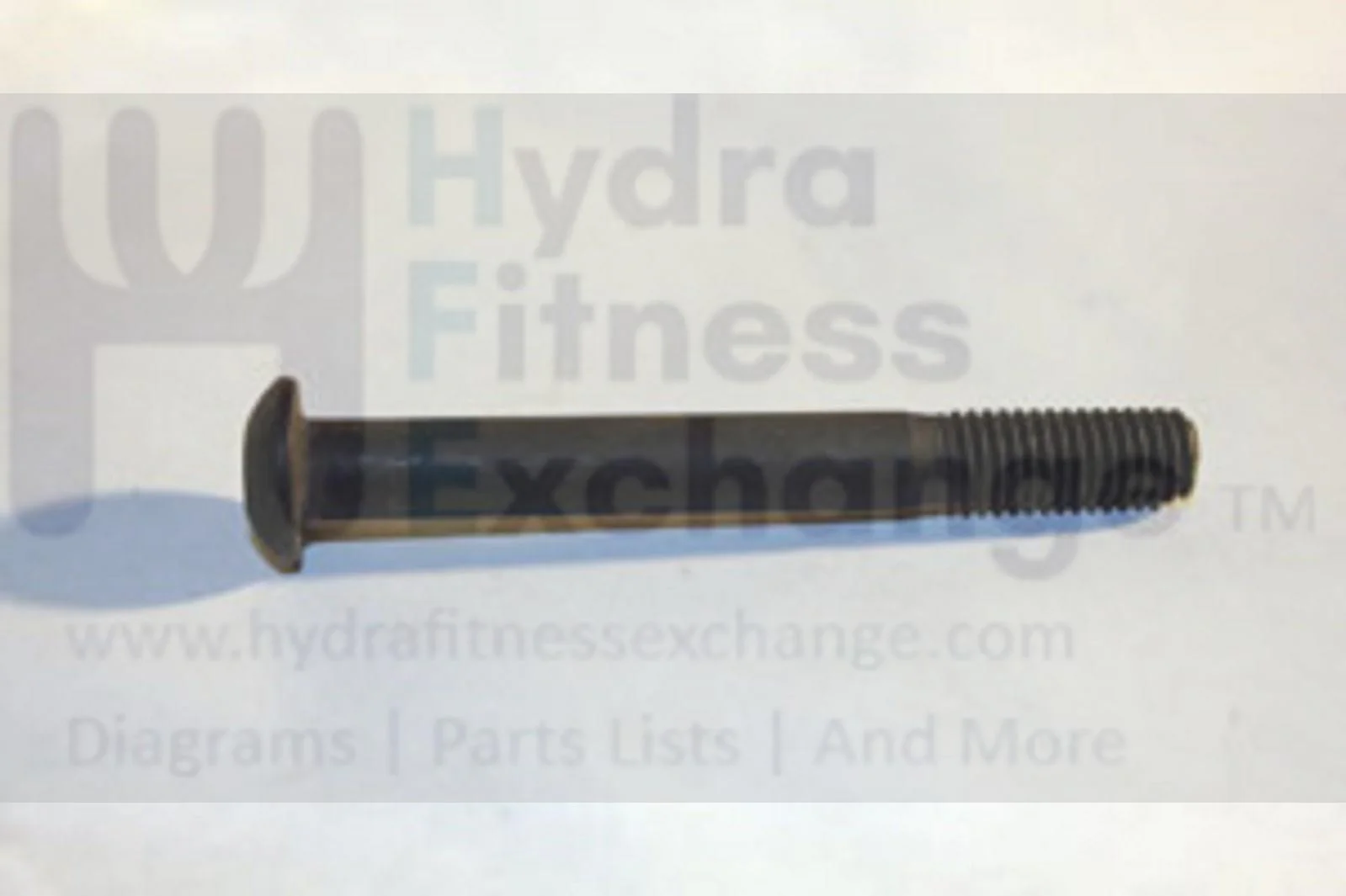 Horizon Vision Fitness Treadmill Button Head Socket Screw M8X1.25PX70L 020283-00
