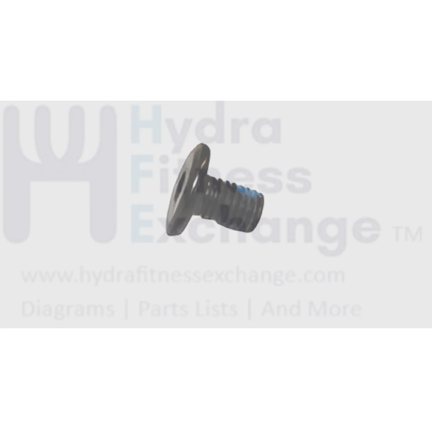 Horizon Vision Matrix Commercial Fitness Treadmill Flat Hex Socket Screw M8x1.25Px12L 004695-AB